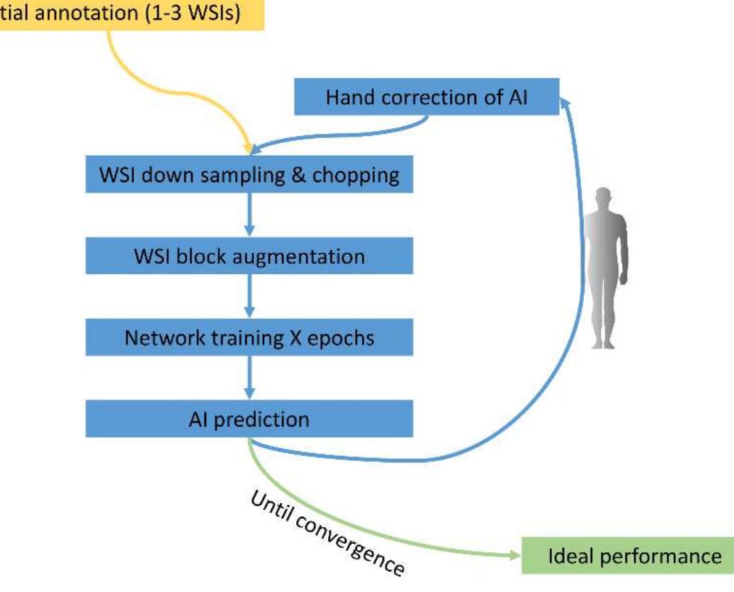 Iterative Annotation Figure 1 - from An integrated iterative annotation technique