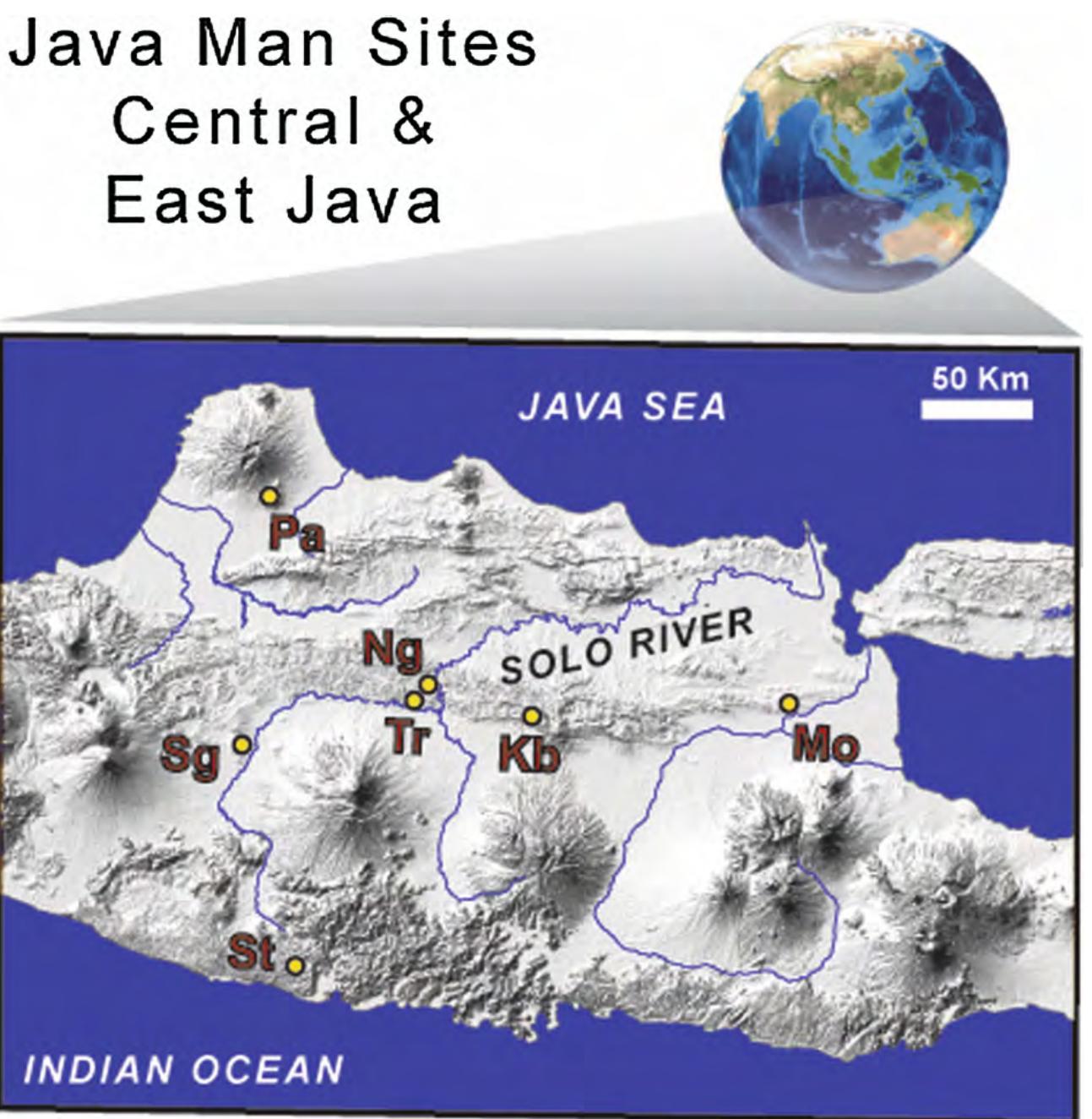 (PDF) Java Man