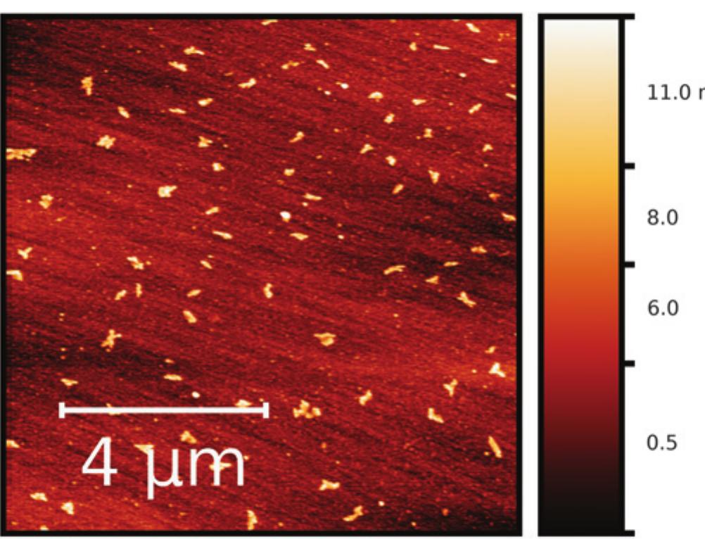 Afm Map Topographic afm map showing a steel surface with a good