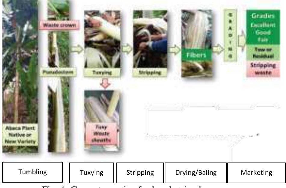 (PDF) Enhancing the Abaca Fiber Primary Processing System in North ...