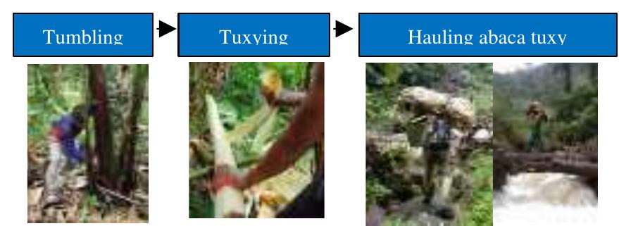 (PDF) Enhancing the Abaca Fiber Primary Processing System in North ...