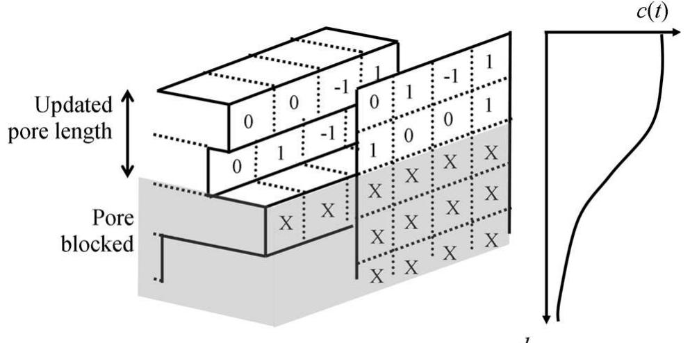 Schematic depicting the concepts behind a revised molecular