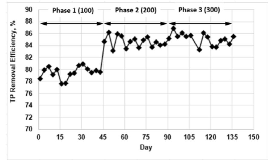 (PDF) An A2O-MBR system for simultaneous biological nitrogen and ...