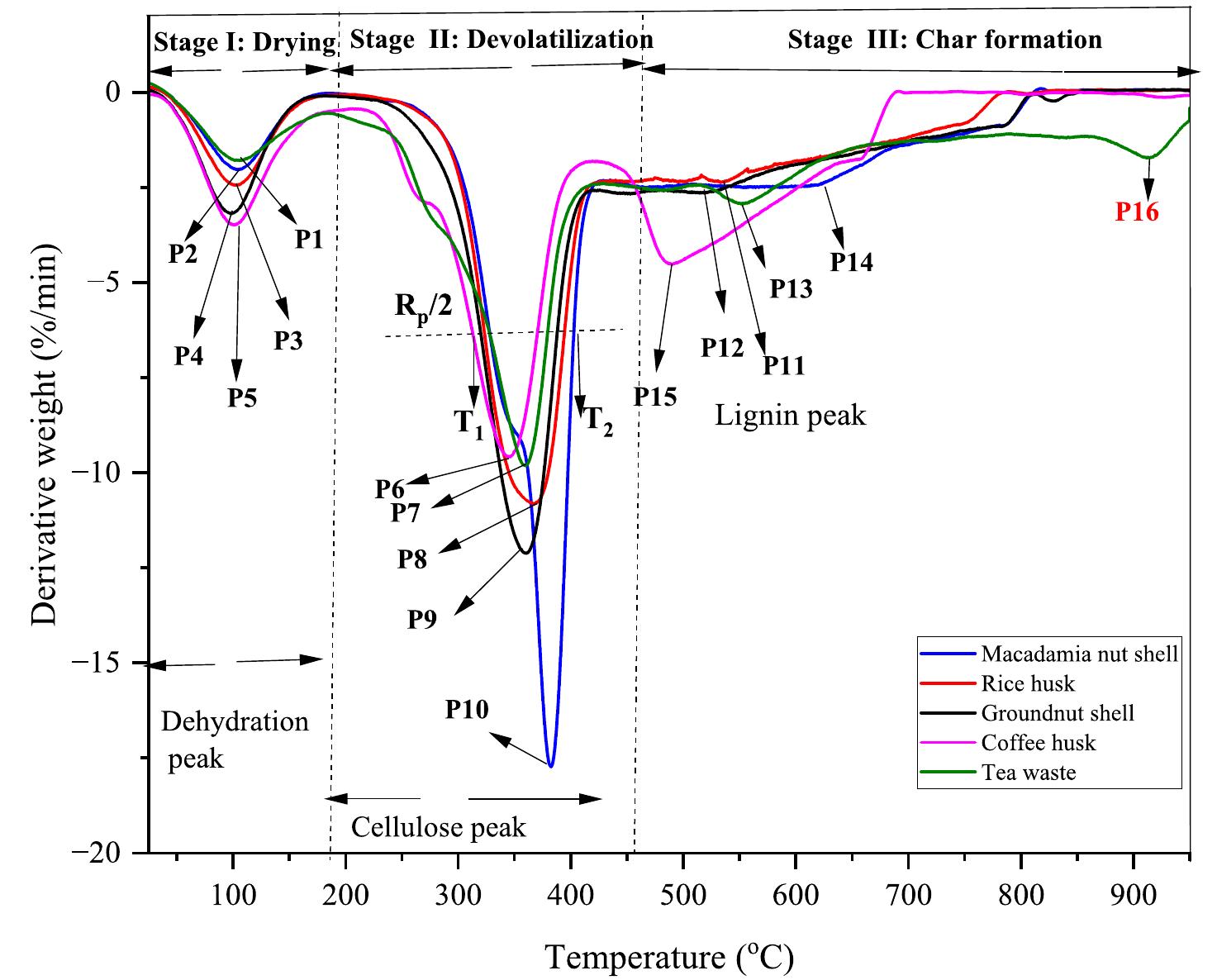 Fig. 4. DTG curves of degradation rate for different biomass materials. (P;-Ps); first peak at stage I, (P6-P10): second peak (hemicellulose, cellulose peak) at the stage Il, (P11-P15): third peak (lignin peak) at stage II. Pj6: fourth peak (oxidation peak) at the decomposition (stage III). Rp: maximum degradation rate at the main peak, R,/2: half-width peak degradation rate. T;: lower end temperature at the intersect of the half-width peak degradation rate, Tz: upper end temperature at the intersect of the half-width peak degradation rate. 