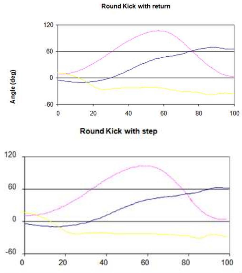 (PDF) The Kicking Process in Tae Kwon Do: A Biomechanical Analysis ...