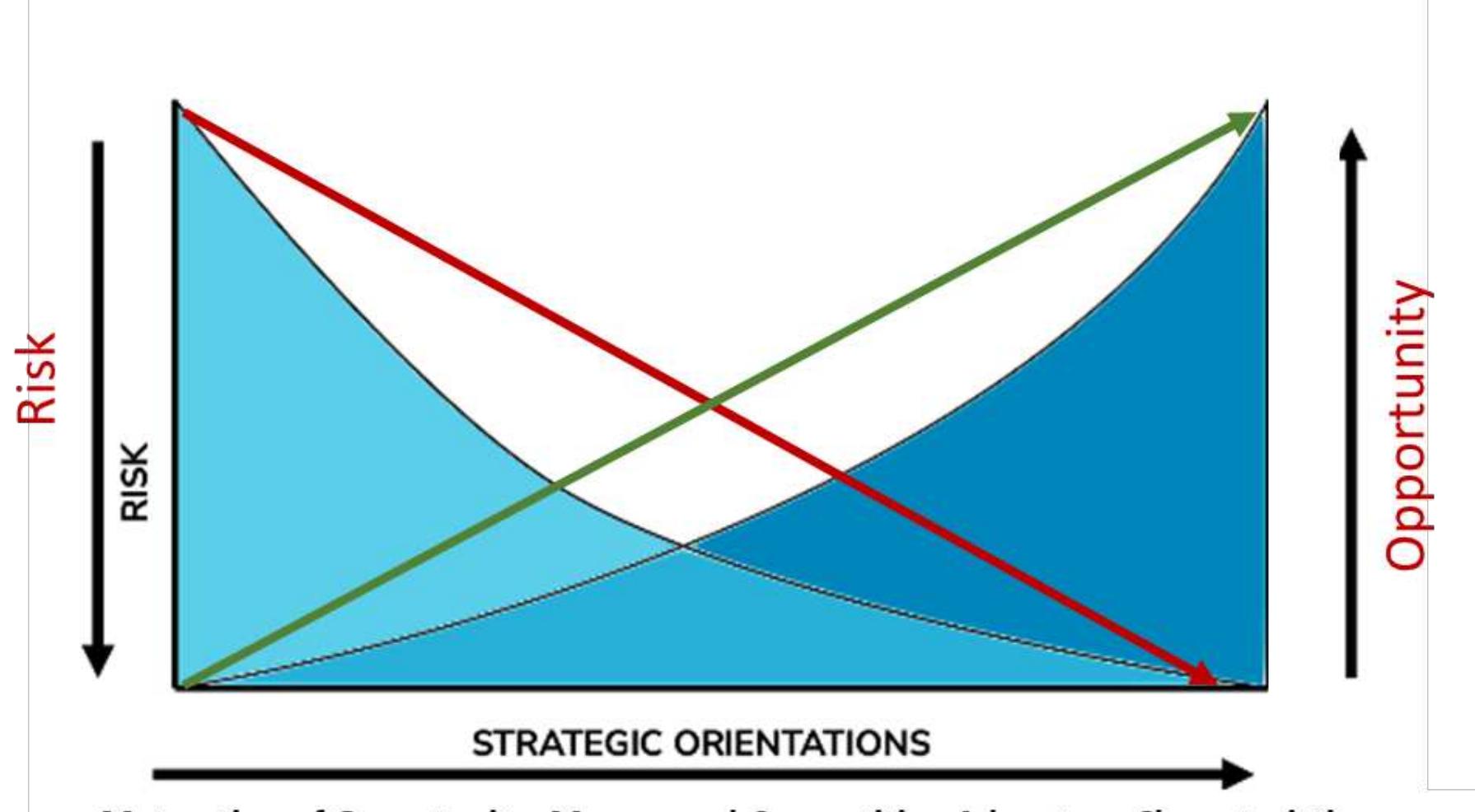 This paper introduces the elements of risk and opportunity,