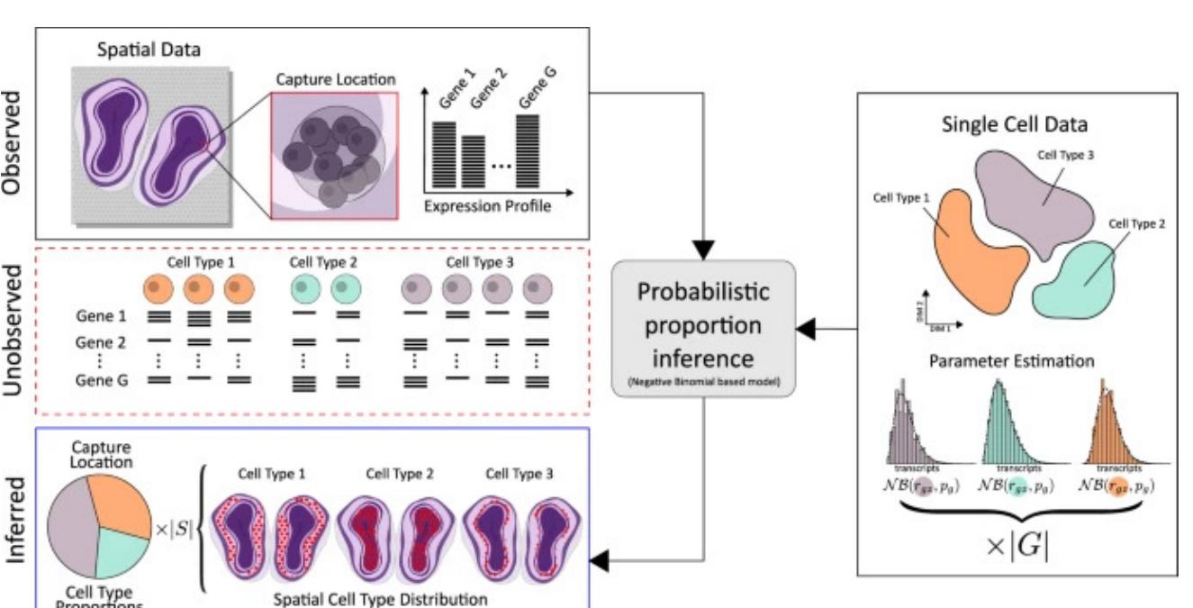 (PDF) An updated State-of-the-Art Overview of transcriptomic ...