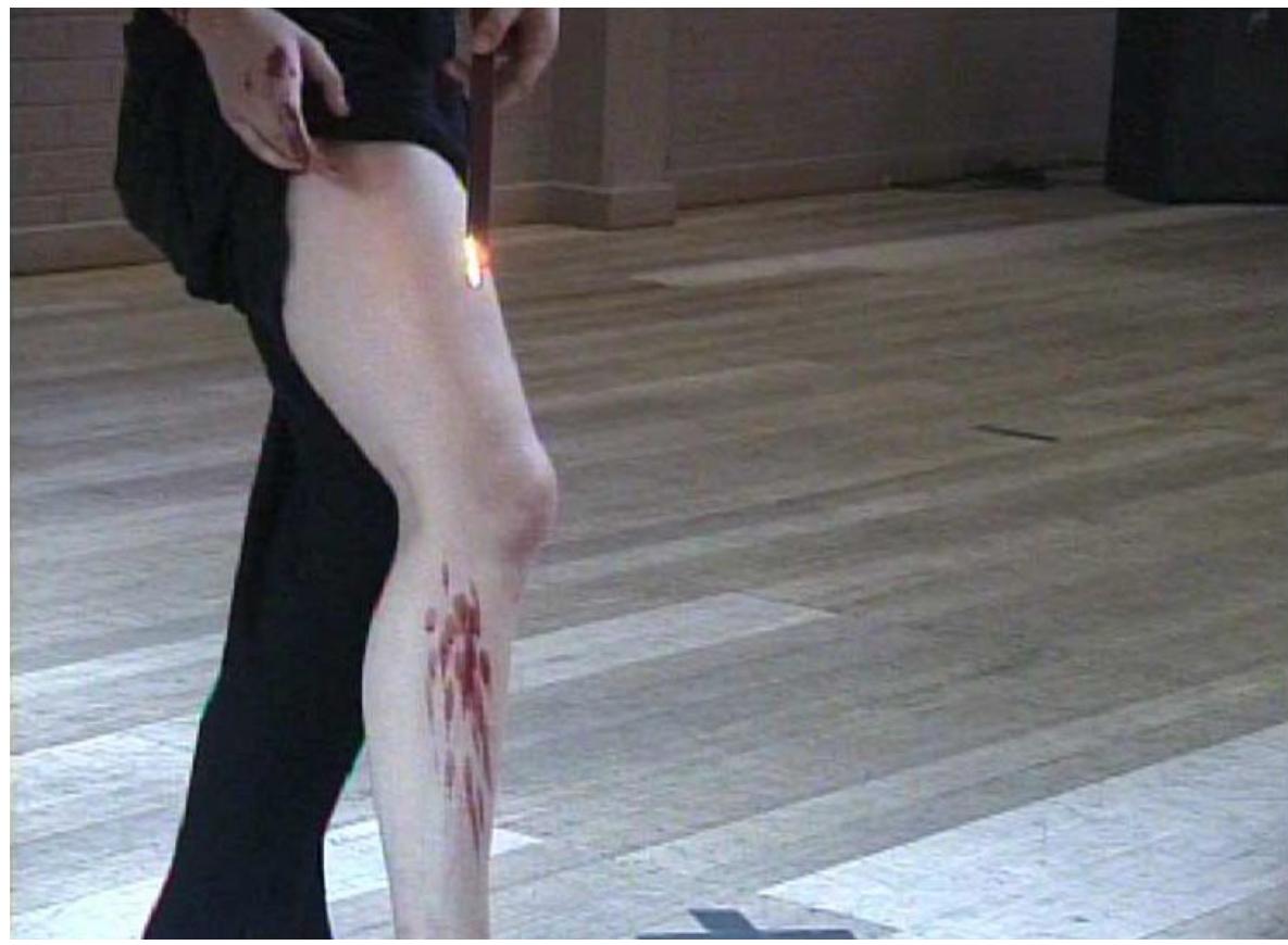 In the studio, the dancers experimented with the wax of a red candle dripped on skin — the wax evoking sensuous images of fragility, blood 