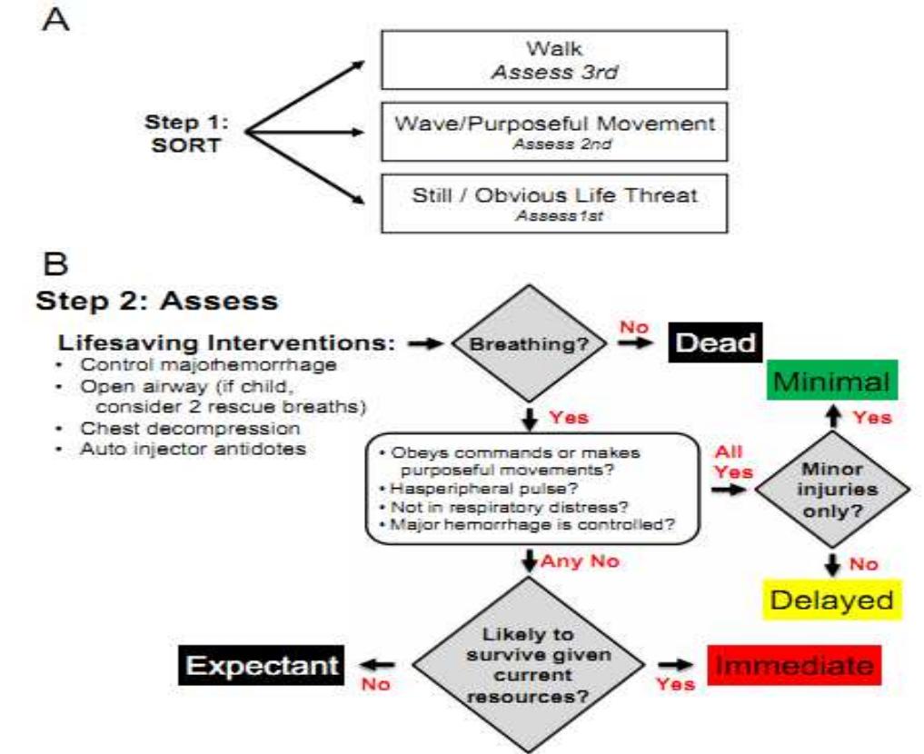(PDF) Triage Systems in Mass Casualty Incidents and Disasters: A Review ...