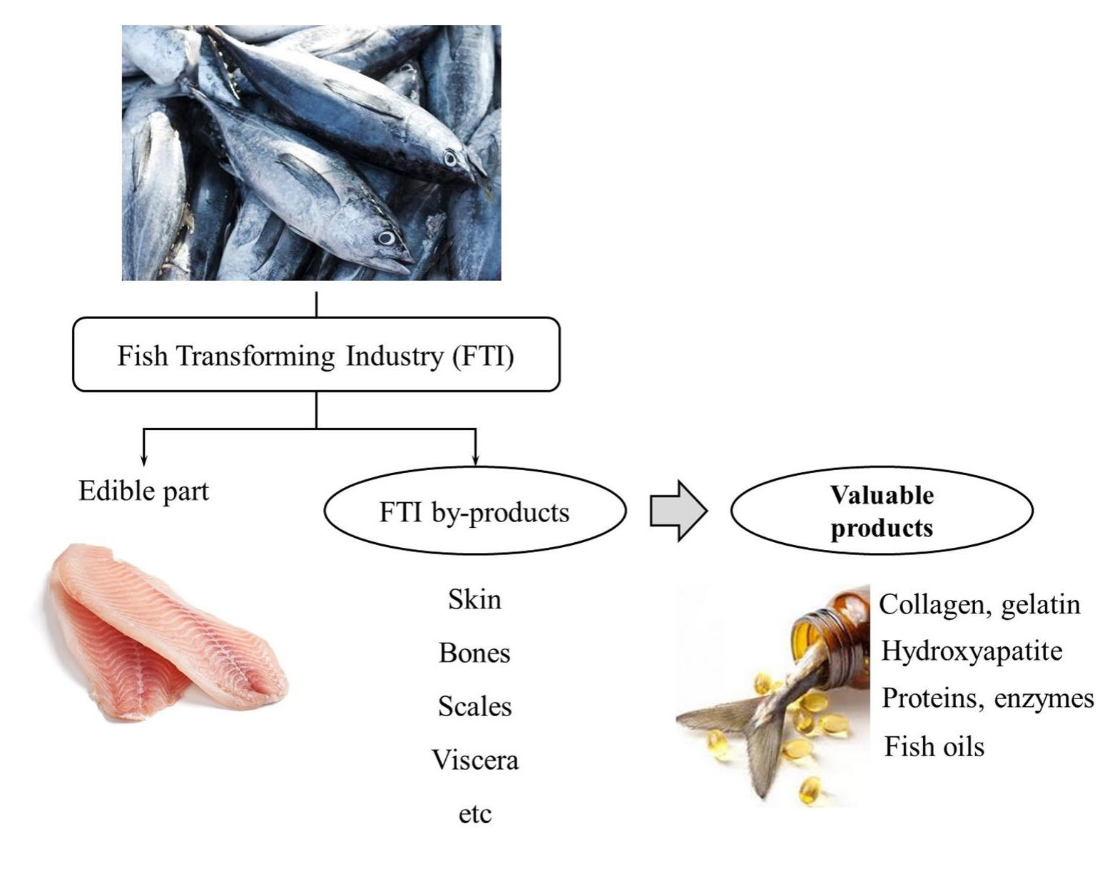 (PDF) Fish Processing Industry Residues: A Review of Valuable Products ...