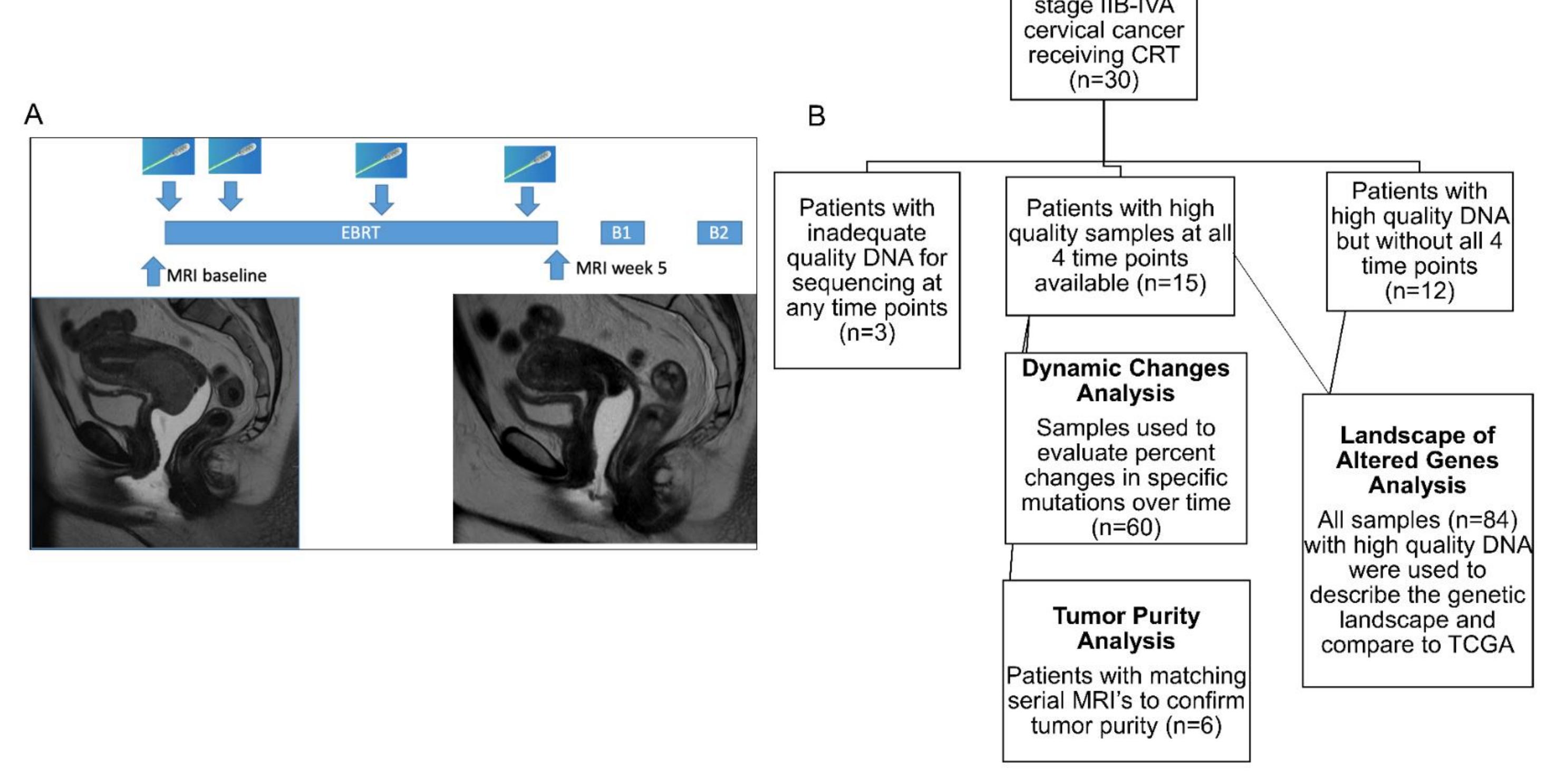 (PDF) Dynamic evolution of cervical cancer mutations during ...