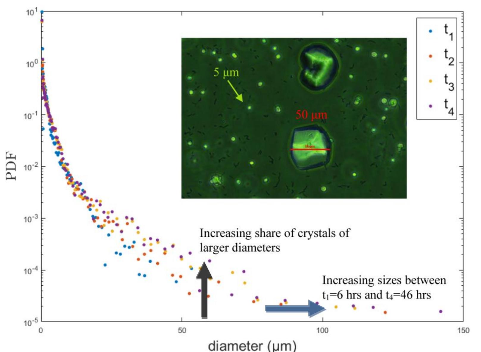 (PDF) Microfluidic-Based Study on the Activation and Evolution of ...