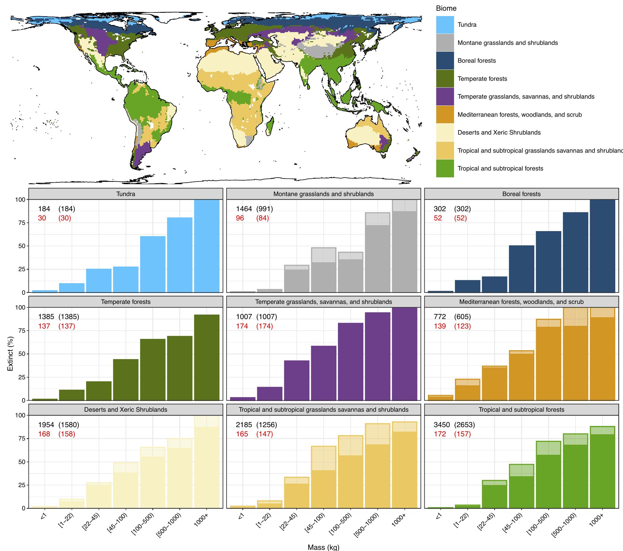 (PDF) The late-Quaternary megafauna extinctions: patterns, causes ...