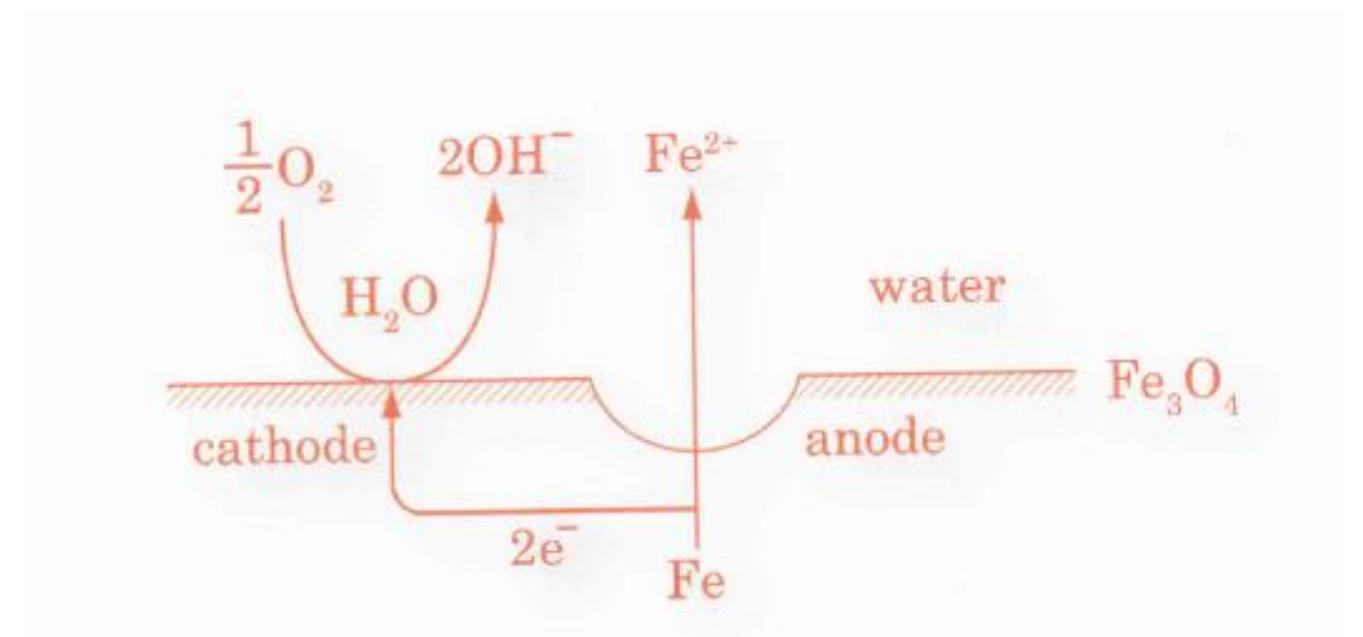 (PDF) THE ROLE OF RUSTS IN CORROSION AND CORROSION PROTECTION OF IRON ...