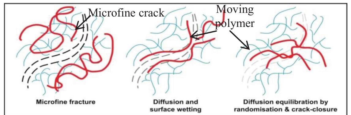 Surface Rearrangement Proposed mechanism of poly(hema) hydrogel.