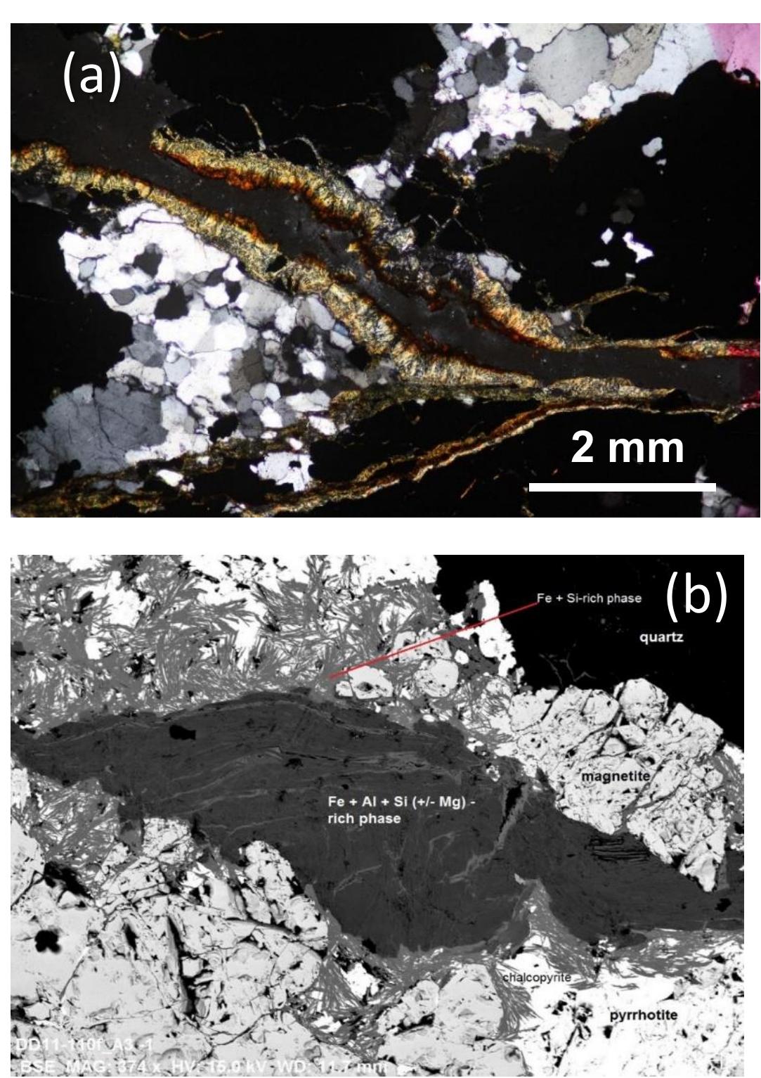 Acicular Texture (PDF) Telluride mineralogy at the Deer Horn Au-Ag-Te-(Bi-Pb-W) deposit ...