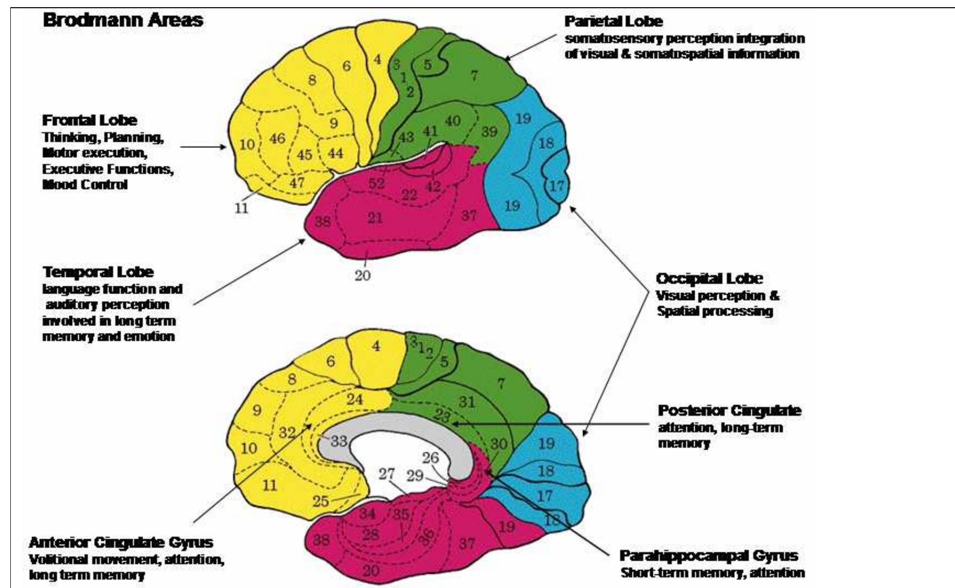 Figure 6 - from Neuropsychiatry and Quantitative