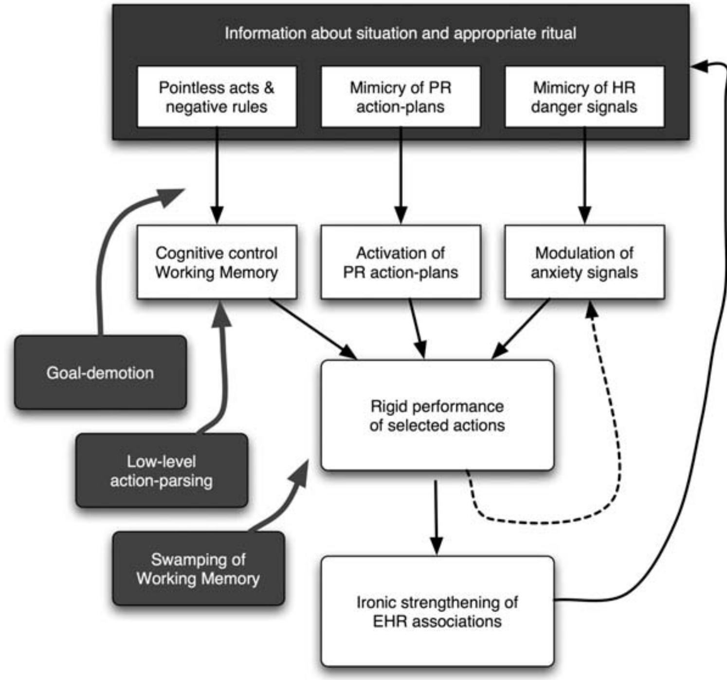 (PDF) Ritualized behavior in animals and humans: Time, space, and attention