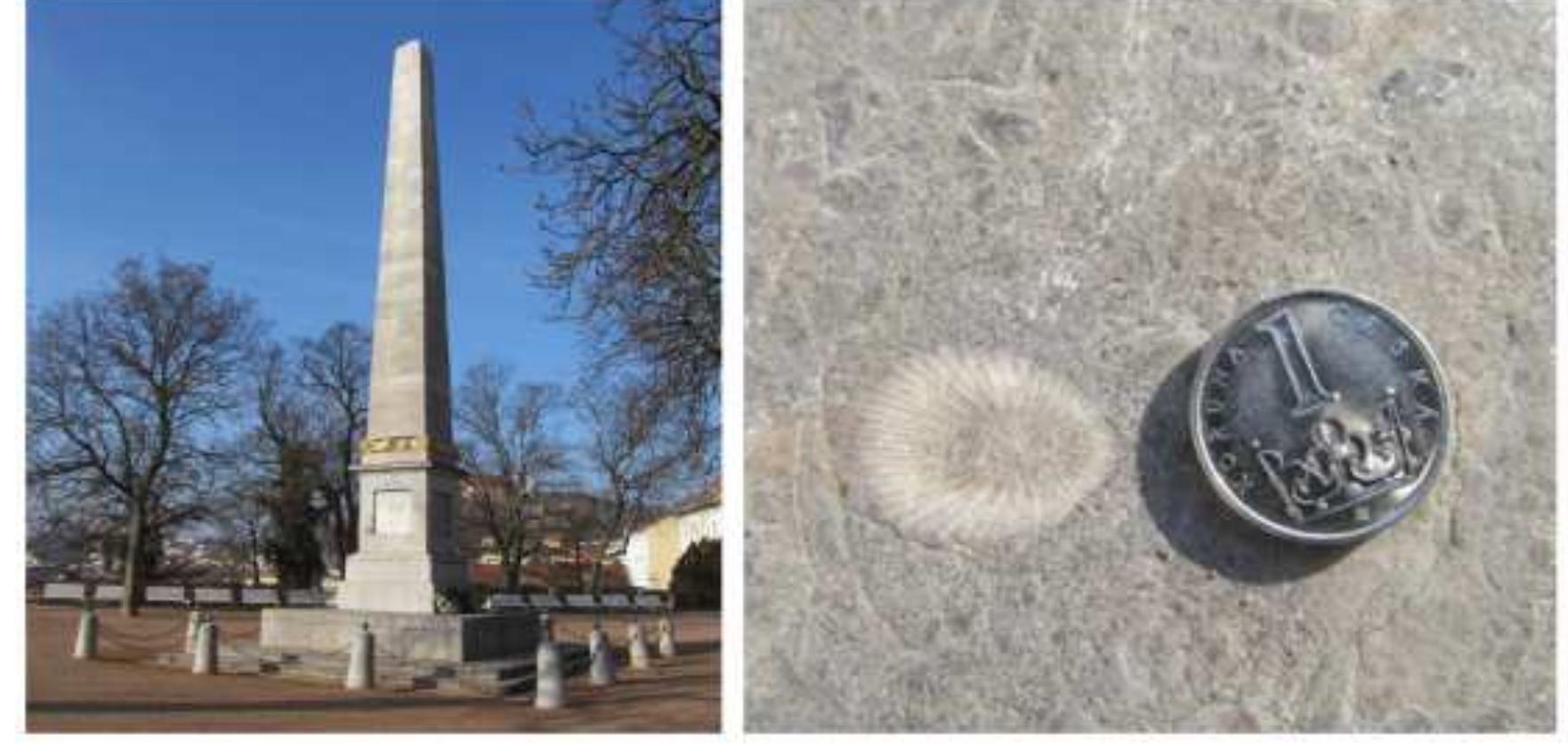 Fig. 4: Obelisque at Denisovy sady Park with fossils. Photo: Lucie Kubalikova  The third group is represented by geocultural sites and objects. These can be old quarries with < strong link to the built heritage or with an important socio-economic issue. As an example, the so called emergency colonies can be presented: during the 1920s, several old disused quarries o sandpits or claypits were inhabited by workers who built emergency houses there (e.g. Piseénik Cernoviéky — old sandpits, Stone colony at Cerveny kopec — disused conglomerate quarry). Buil heritage (monuments, buildings, statues) can be also included into geocultural objects, e.g. Obelisque in Denisovy Sady Park (Figure 4), which is rather perceived as a cultural monument, is built of cora “marble” that was quarried on Sumbera near Hady (Mrazek 1993). The fossils of corals and othe Devonian fauna can be observed here. Proper anthropogenic landforms (e.g. road cuttings, ramparts or heaps) can be included into the group of geocultural sites and objects too. For example, or Holedna Hill, the fieldwork and LiDAR data analysis enabled to discover several elongated structures They were interpreted as anthropogenic and radiocarbon dating confirmed the Bronze Age. The objects are considered to be a remains of Bronze Age fortification or a group of sacral objects anc thanks to the close relationship between the geomorphology and archaeology, the site can be used fo geotourist purposes as well.  Examples of geotourist activities 
