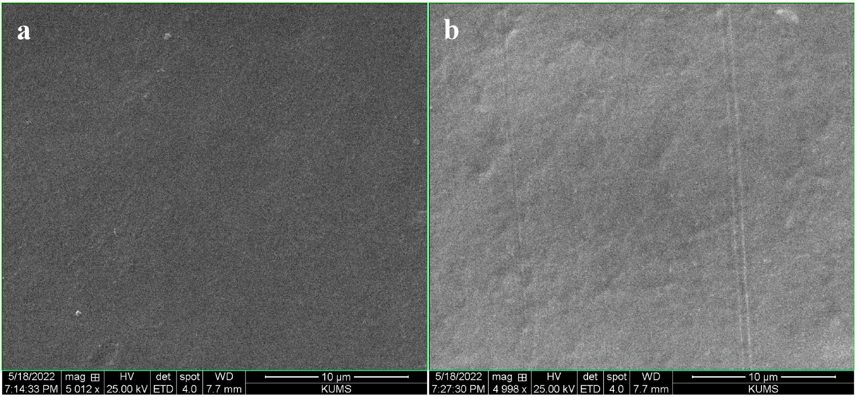 Sem Stab Label Ftir spectra of pure chitosan and hsa-loaded chitosan