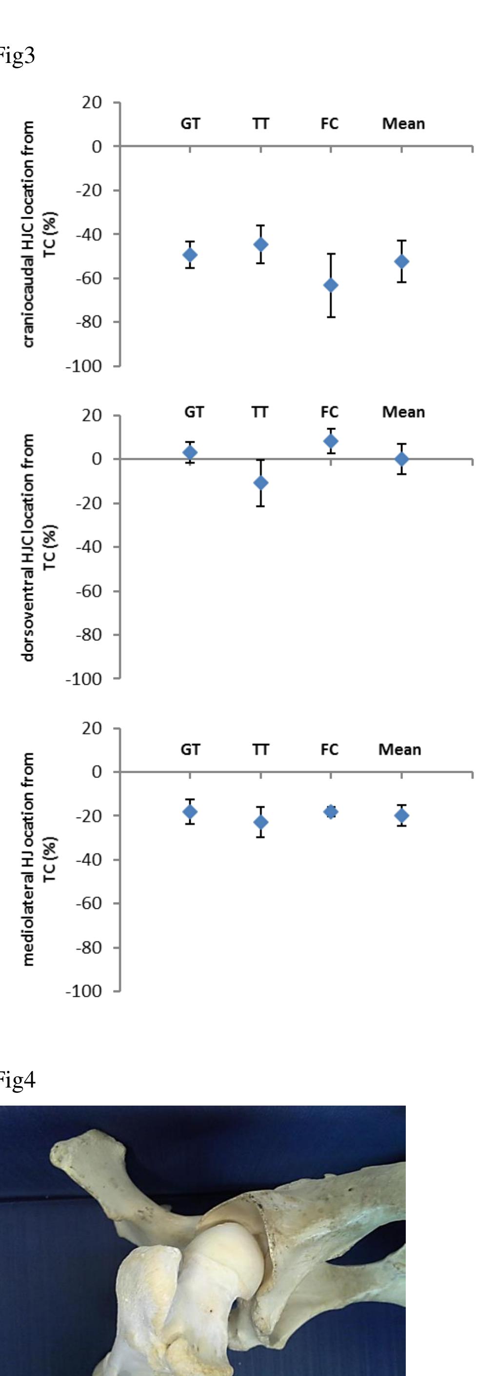 (PDF) A sphere fitting approach to determine the hip joint centre of ...