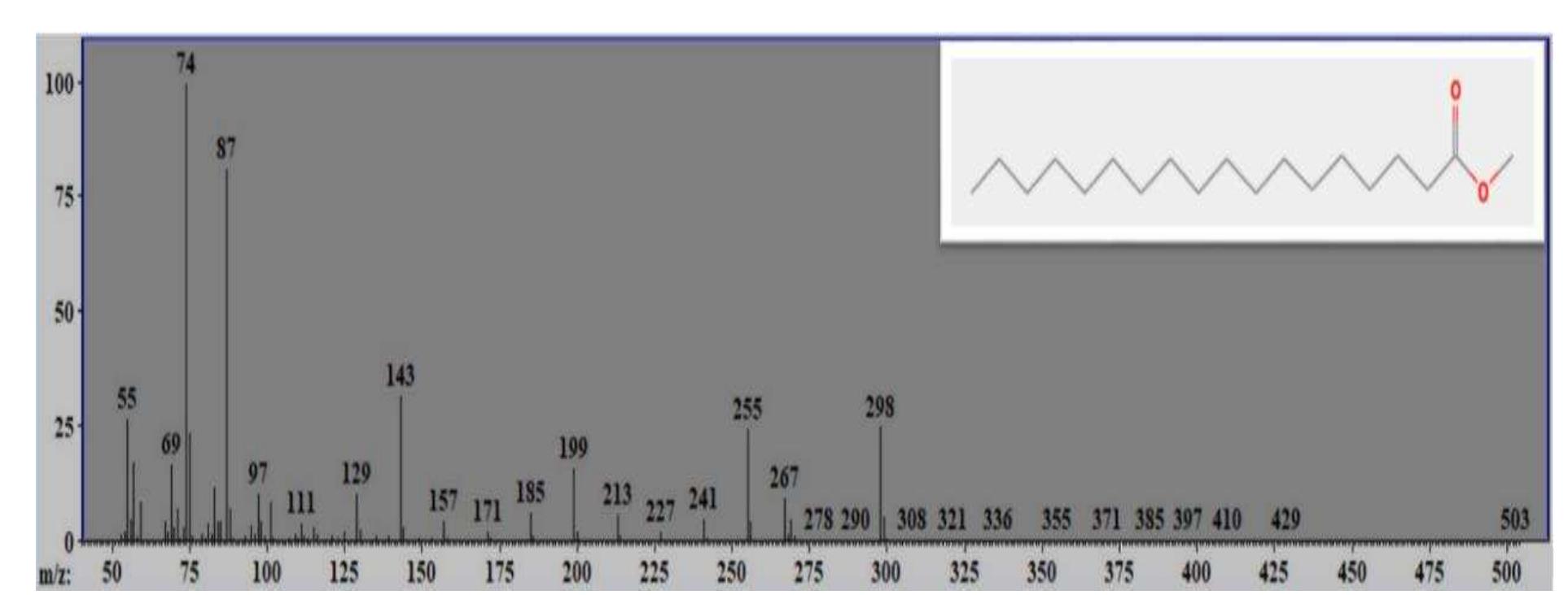 Figure 4 - Phytochemical screening by using GC-MS and FTIR