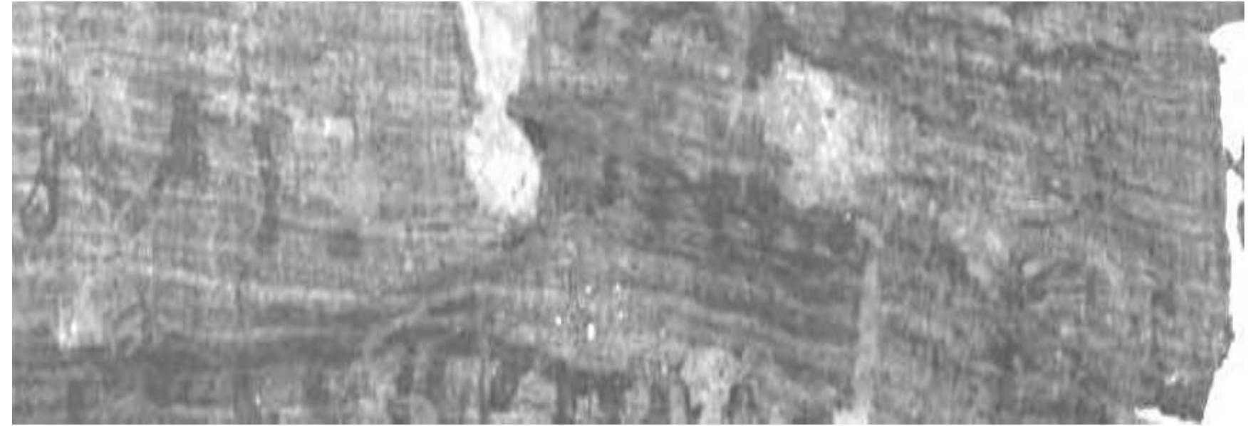 Pl. 2. Rh. 3, P.Herc. 1506, col. IV 14 (in my edition). I proposed here the reading kai pionovodv|[ta]. 