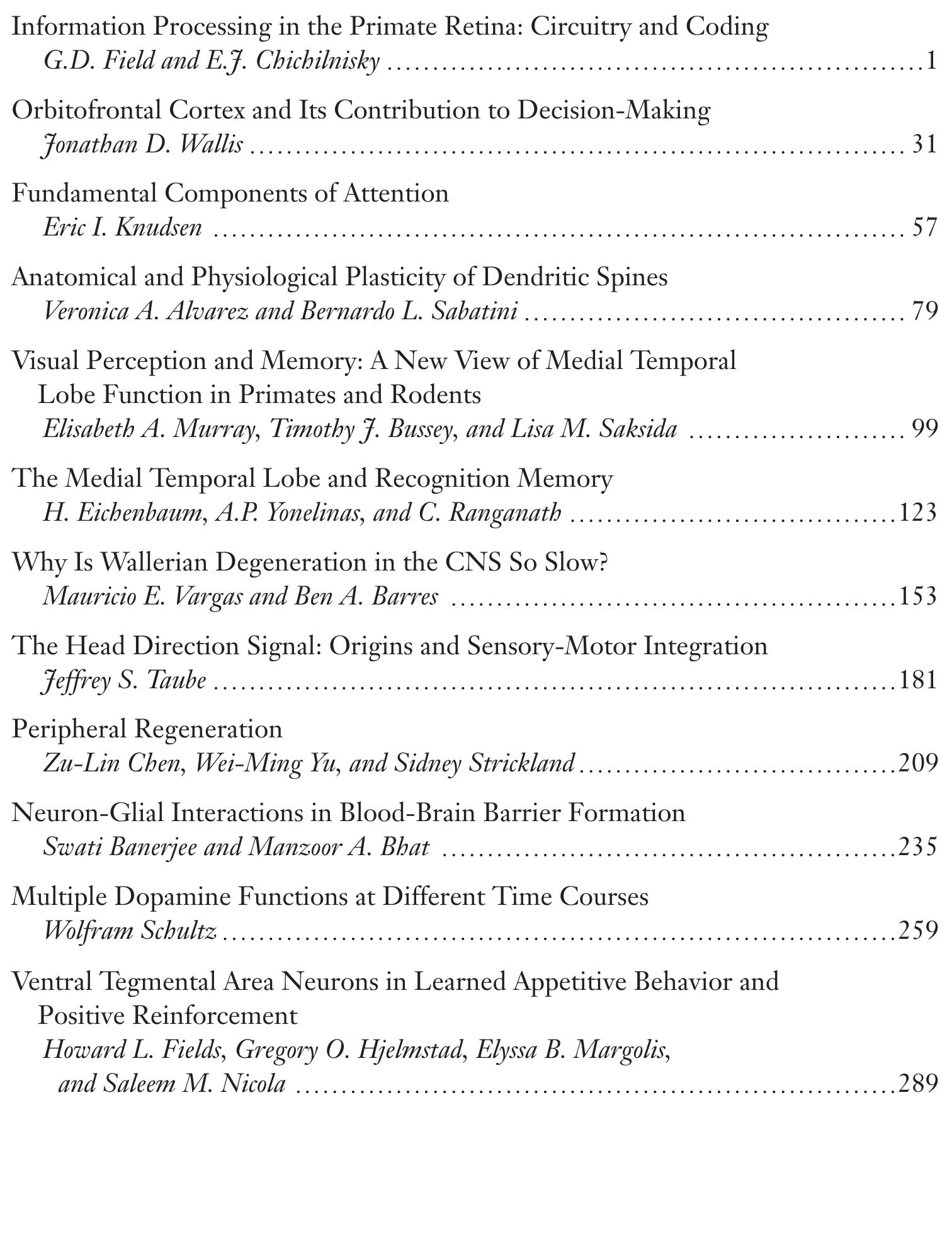 Table 1 - The Neural Basis of Decision Making