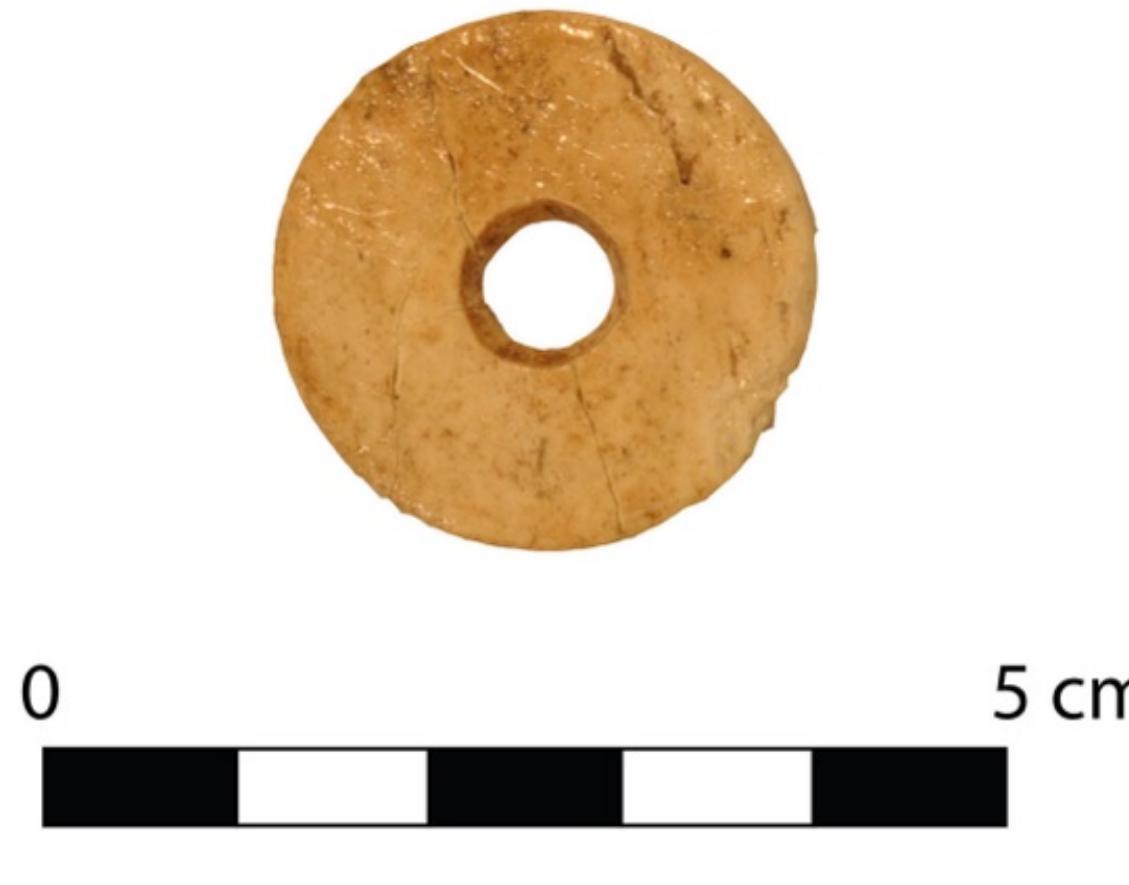 Ficure 14.02: Spindle whorl? 2014.179. (Photo: ACOR.) 