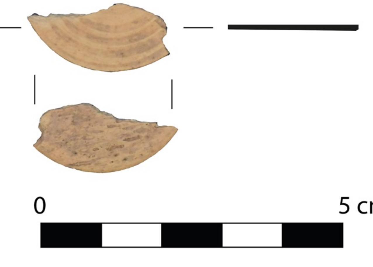 Ficure 14.05: Possible gaming counter? 2013.88. (Photo: S. Courts.)  2013.8 88; Dump 1 bone; counter(?) flat, circular  1983.145; I14 W (22); bone; jar lid; lathec conic lid, with small knob handle, set off by raised circle and incised lines, incised line: at bottom, interior surface has a raised ridge and lathe marks; fragmentary; H. 1.58 cm, D 4.14 cm. Date: Byzantine. 