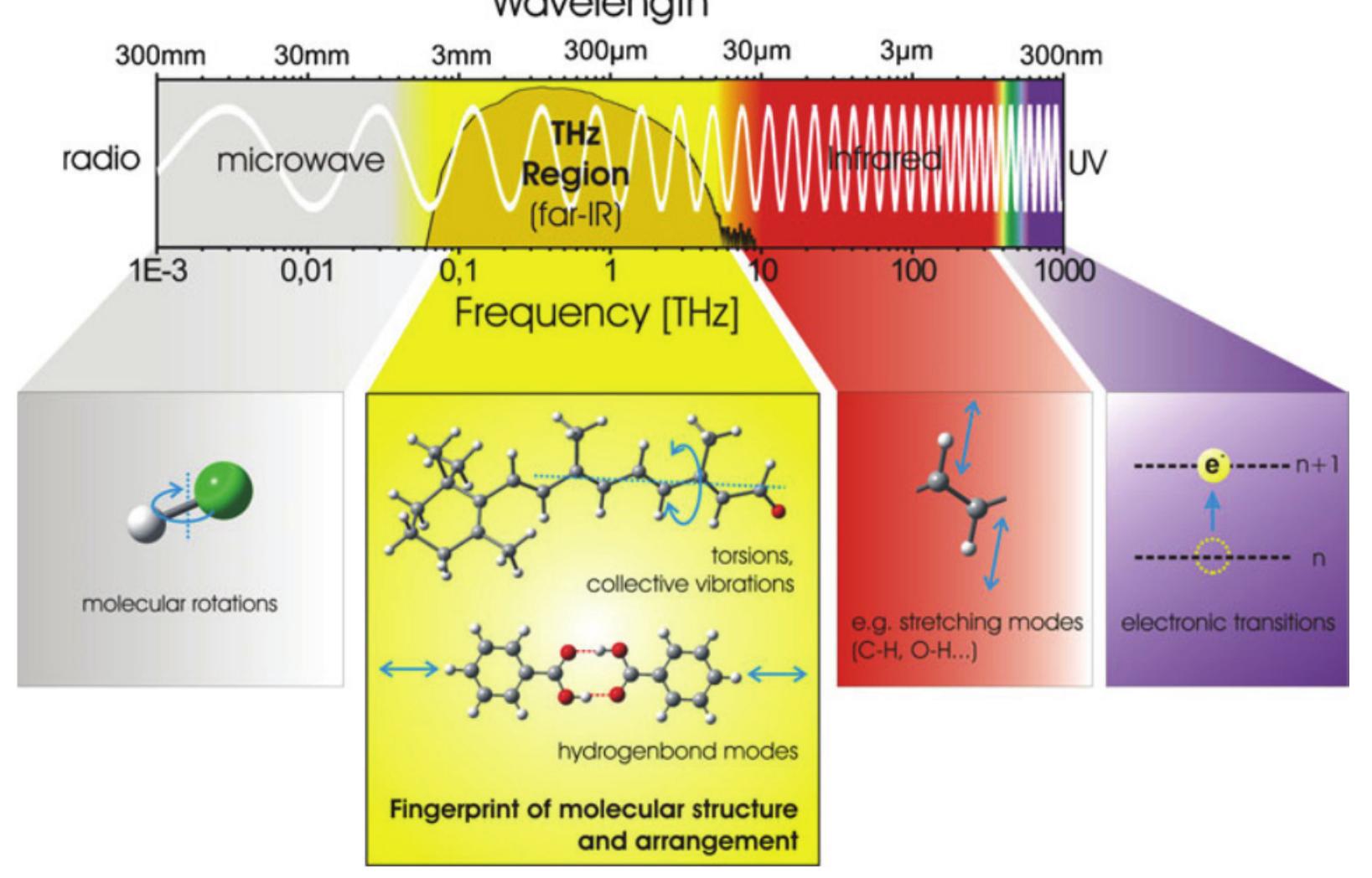 Terahertz waves in the electromagnetic spectrum (adapted