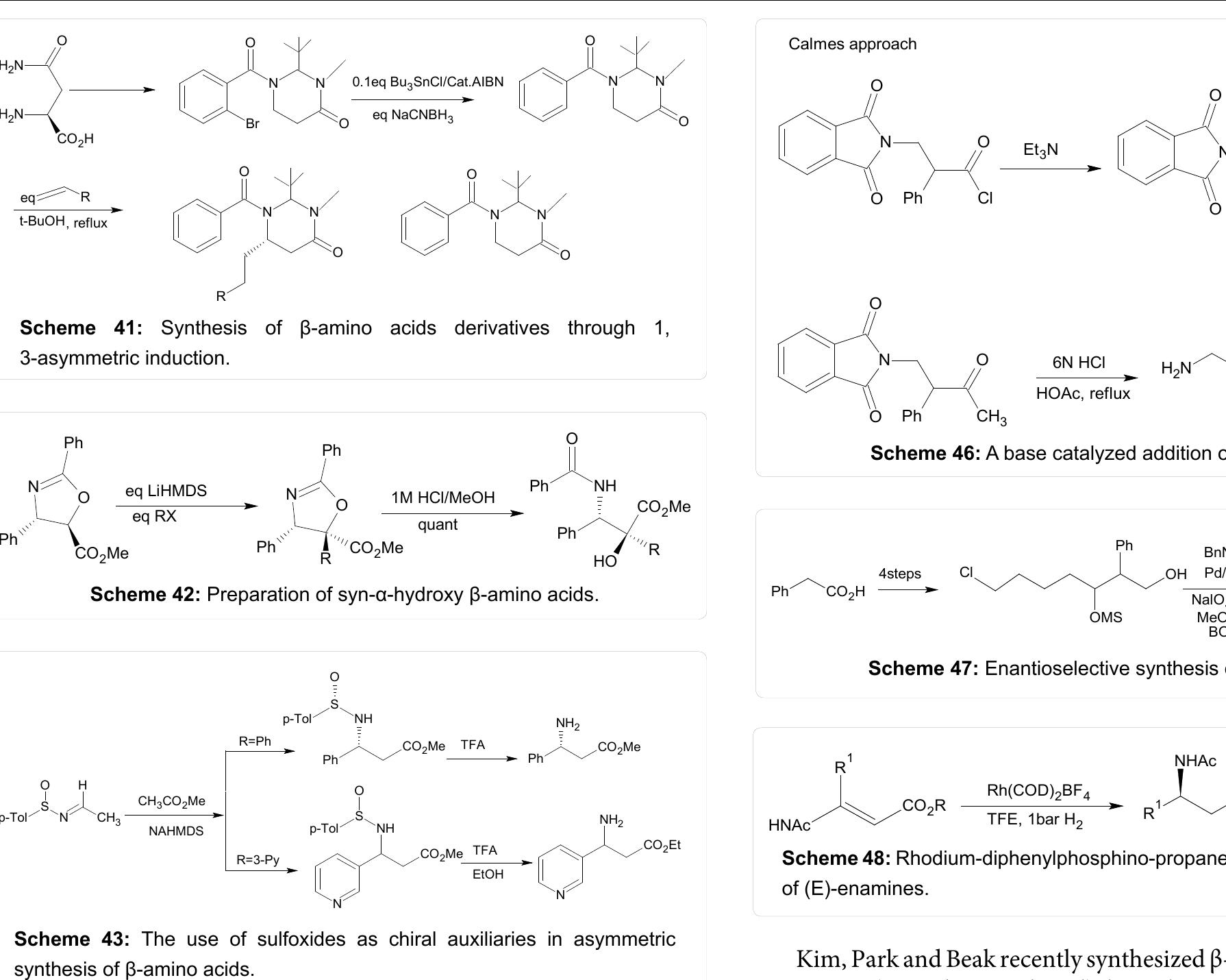 Figure 16 - Enantioselective Synthesis of ?-amino acids: A