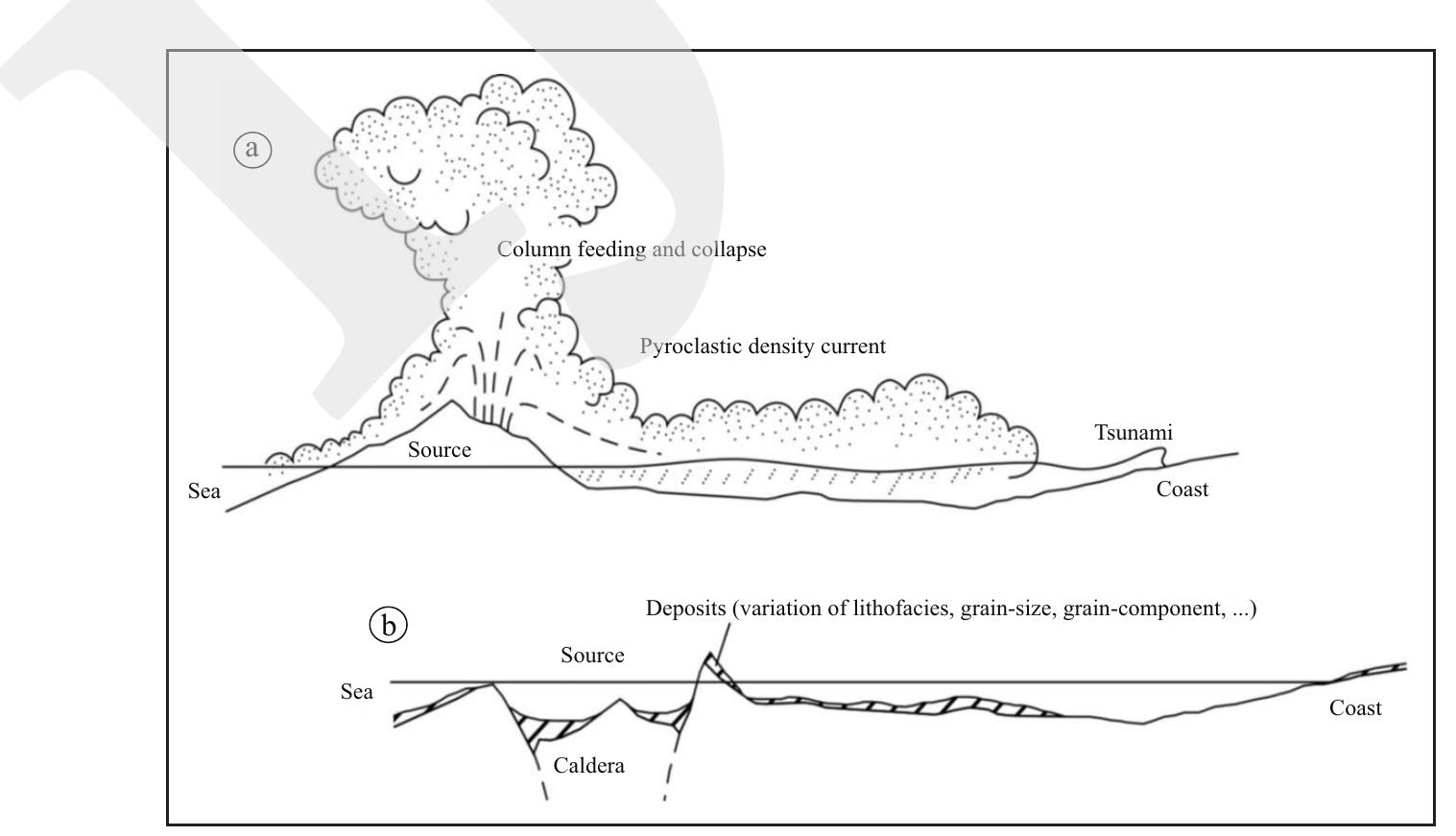 Profile of hot submarine pyroclastic density currents