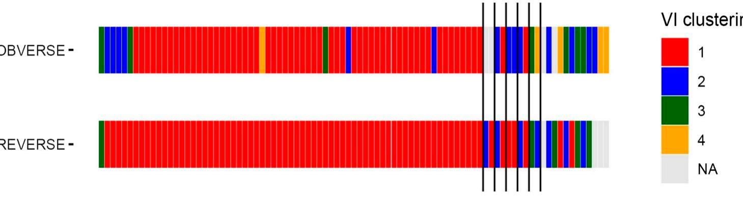 Figure 4. Clustering assignment obtained with the automatic analysis. Each element of the grid represents one of the ninety distinct coins analysed. The coins are displayed by obverse/reverse (top/bottom row), and each colour represents a different cluster. The black vertical lines separate coins belonging to different dies as by manual analysis, with the rightmost coins representing the group of single specimens. Grey grid elements indicate coins for which only one face was available in the dataset.  From our manual analysis, we concluded that of the sixty-seven coins sampled from Angkor Borei, likely originating from the Konlah Lan hoard, derive from the same minting tools (Fig. 1, Above). An additional eight, also verified by the SOSORO Museum to come from the hoard, were struck or cast from four different obverses and reverses (with a pair of coins assigned to each die/mould). The remaining three coins, each struck, featured die linkages between the obverse and reverse matches: RS0212 (O1/R1), RSO760 (O1/R2), and RS0188 (O2/R2). The twelve coins from Oc Eo, meanwhile, comprise entirely single struck specimens despite similar artistry (see Fig. 1, Below for an exam- ple). The result from the automatic data analysis is generally in line with those obtained by the manual analysis for both reverses and obverses. A summary of   Historically, this study lays the groundwork for long-overdue examinations and scrutiny of previous typologies of Rising Sun coins, which in turn helps numismatists better examine the significance of differ- ent coin types and subtypes at various archaeological sites in mainland Southeast Asia. For instance, com- parisons with coins typologies generated from the pri- vate collections of Mitchiner (12002) and to a greater extent Mahlo (2012) suggests that the variations of coins sorted from Angkor Borei and the Konlah Lan hoard collectively represent Type 8b in Mahlo’s typol- ogy. The single specimens from Oc Eo, primarily sorted into Clusters 2-4, are a combination of sub- types 8a, 8b, and 8c (Mahlo 2012: 33). Mahlo’s typol- ogy, however, is based on the downgrading of  