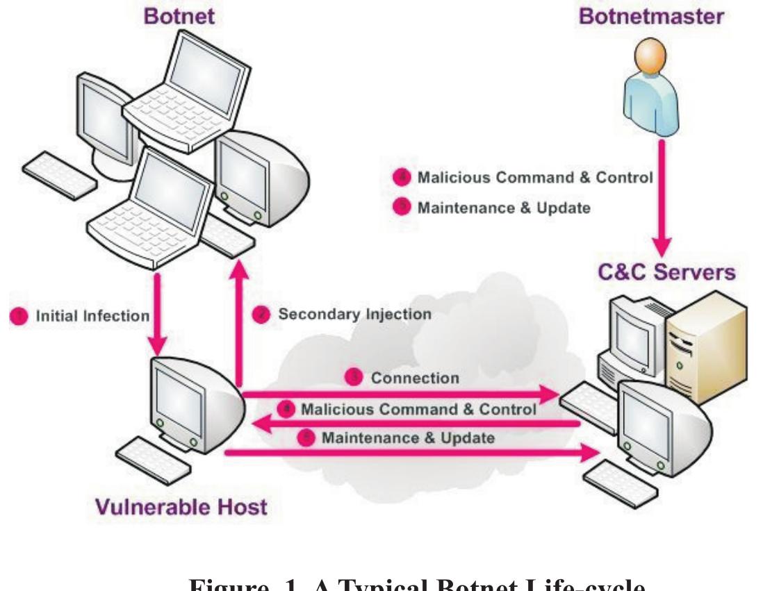 (PDF) A Botnet Detection Techniques