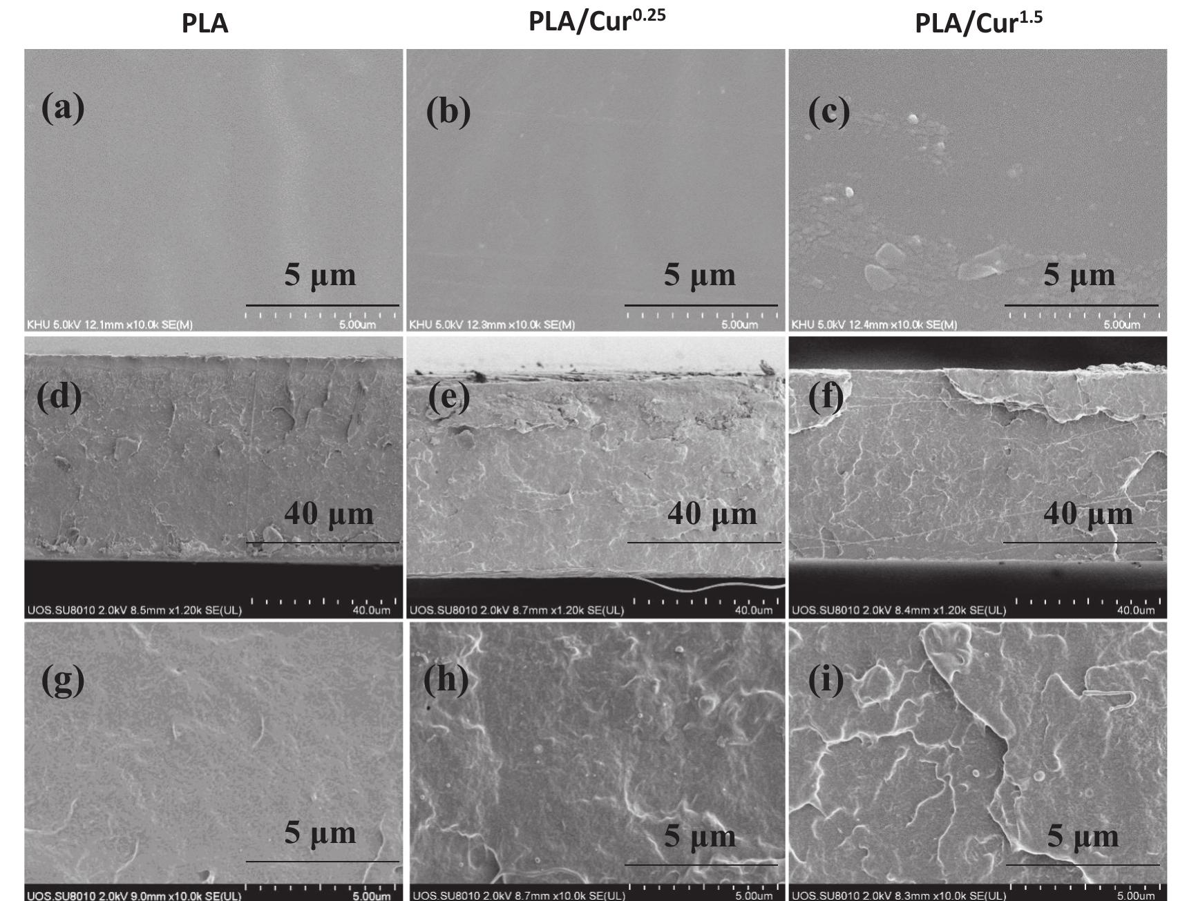 Figure 2 - from Preparation of bioactive functional