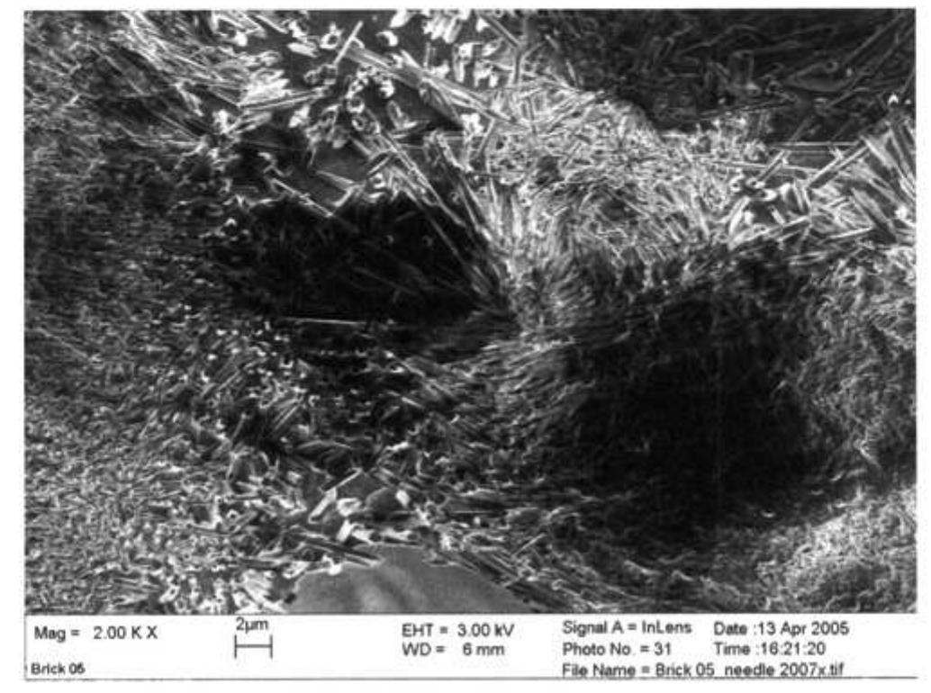 Figure 1. SEM image of a sintered brick, polished and etched in conc. HF for 30s. 