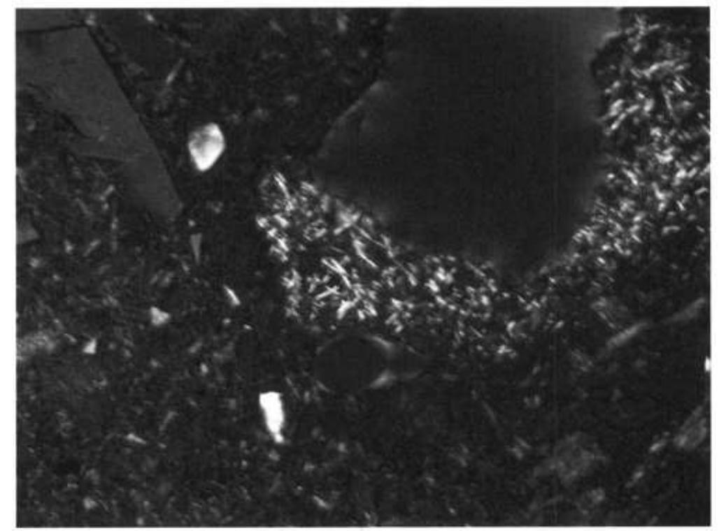 Figure 2. Thin transparent section of a sintered brick in polarized light. 