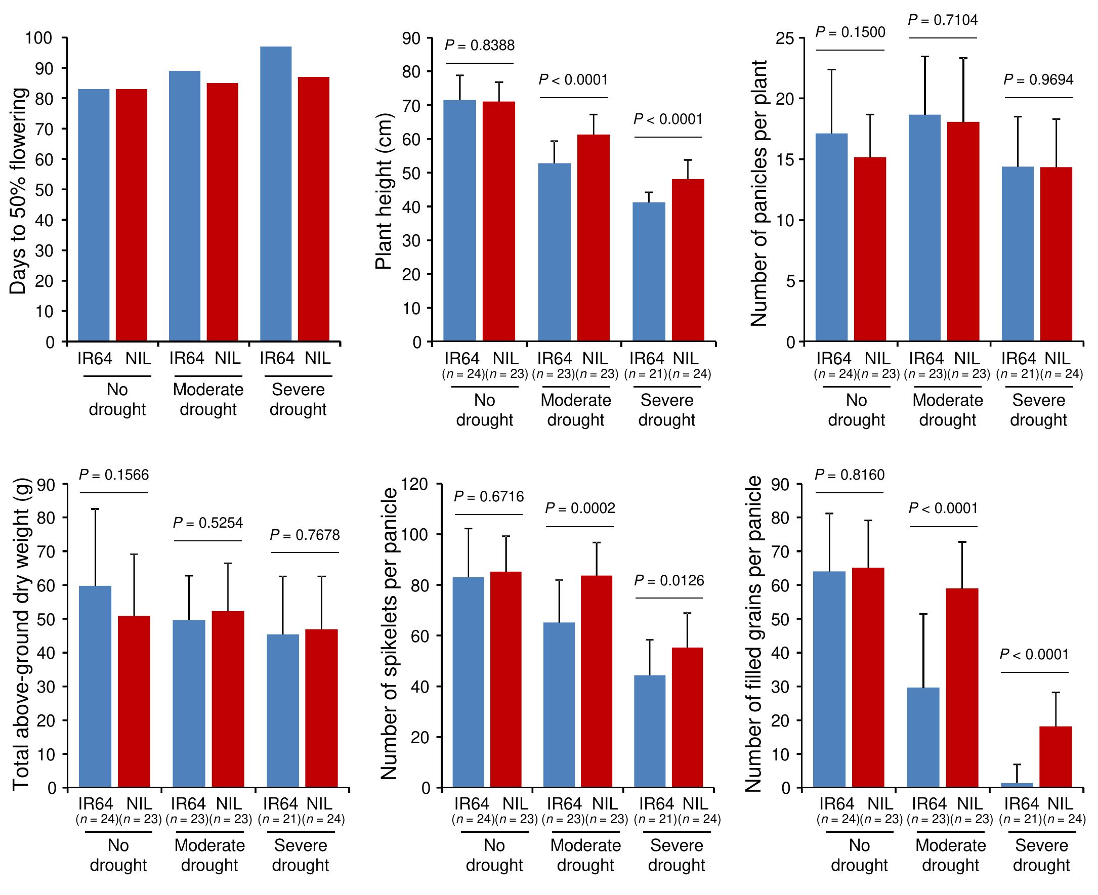 (PDF) Control of root system architecture by DEEPER ROOTING 1 increases ...