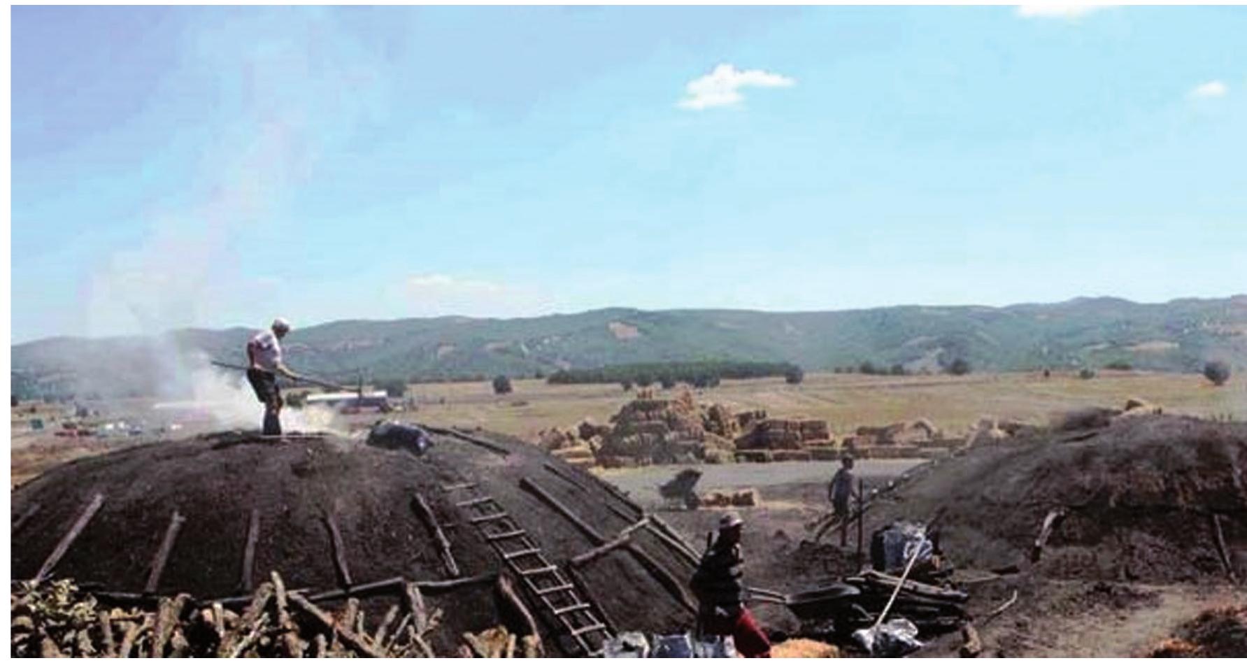 List of Exhibitors PDF | PDF | United Arab Emirates | Dubai, image size:1783x948