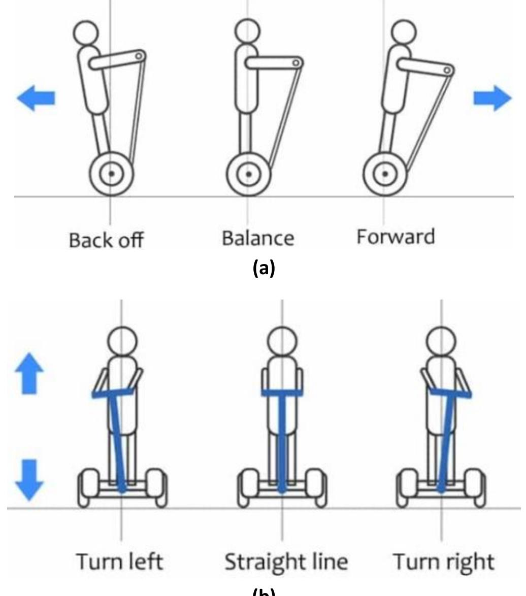 Scoot Movement Schematic diagram of the dc motor used as actuator in the