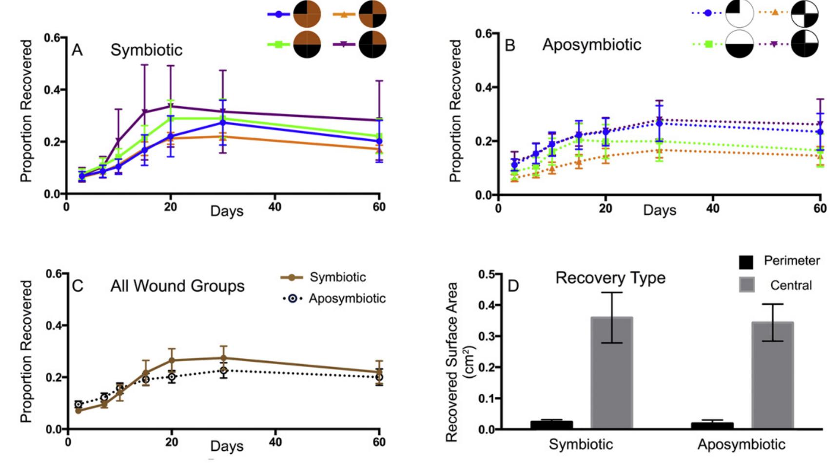 (PDF) Patterns of surface lesion recovery in the Northern Star Coral ...