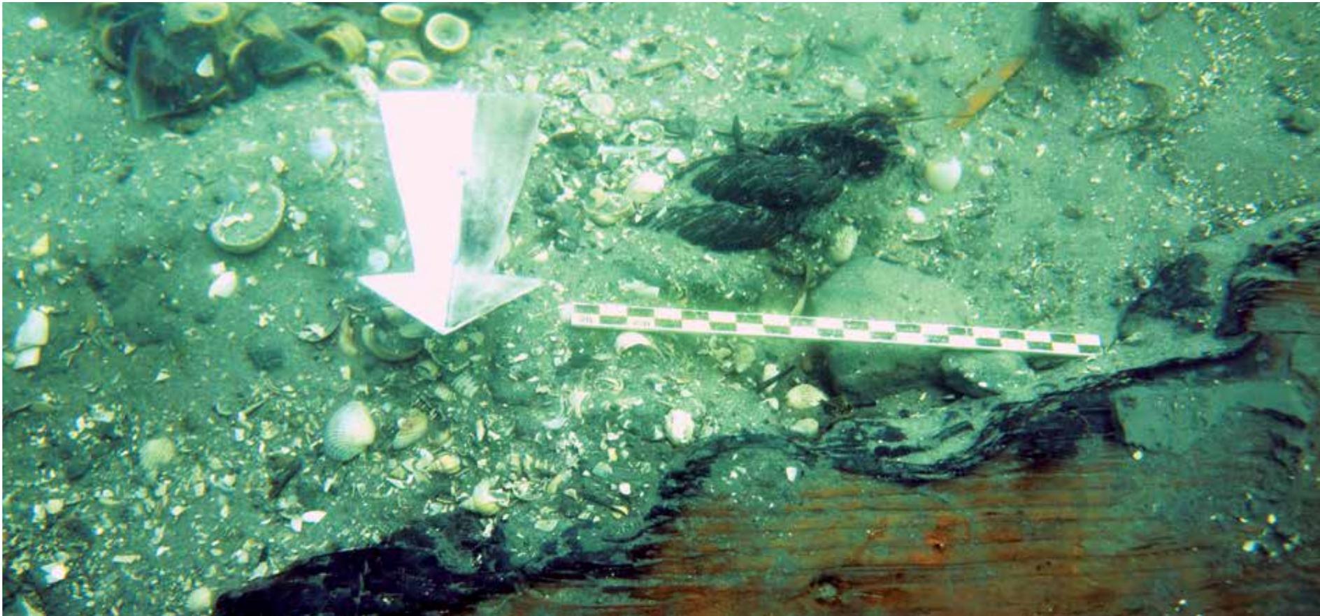 Evidence further suggests that the ship was lost under tragic circumstances. The preserved section of the outer hull, many internal constructional members, and pieces of rigging bear witness to a strong fire (Fig. 3). Consequently, a con- siderable amount of charcoal was deposited inside the hull. The excavation brought to light several lead sling bullets and a Greek helmet of Chalcidian type (5*—4* c. BC). These artefacts allow for the suggestion that Ship 5 was lost during a military conflict, a hypothesis that will be elaborated on in the Conclusions. 