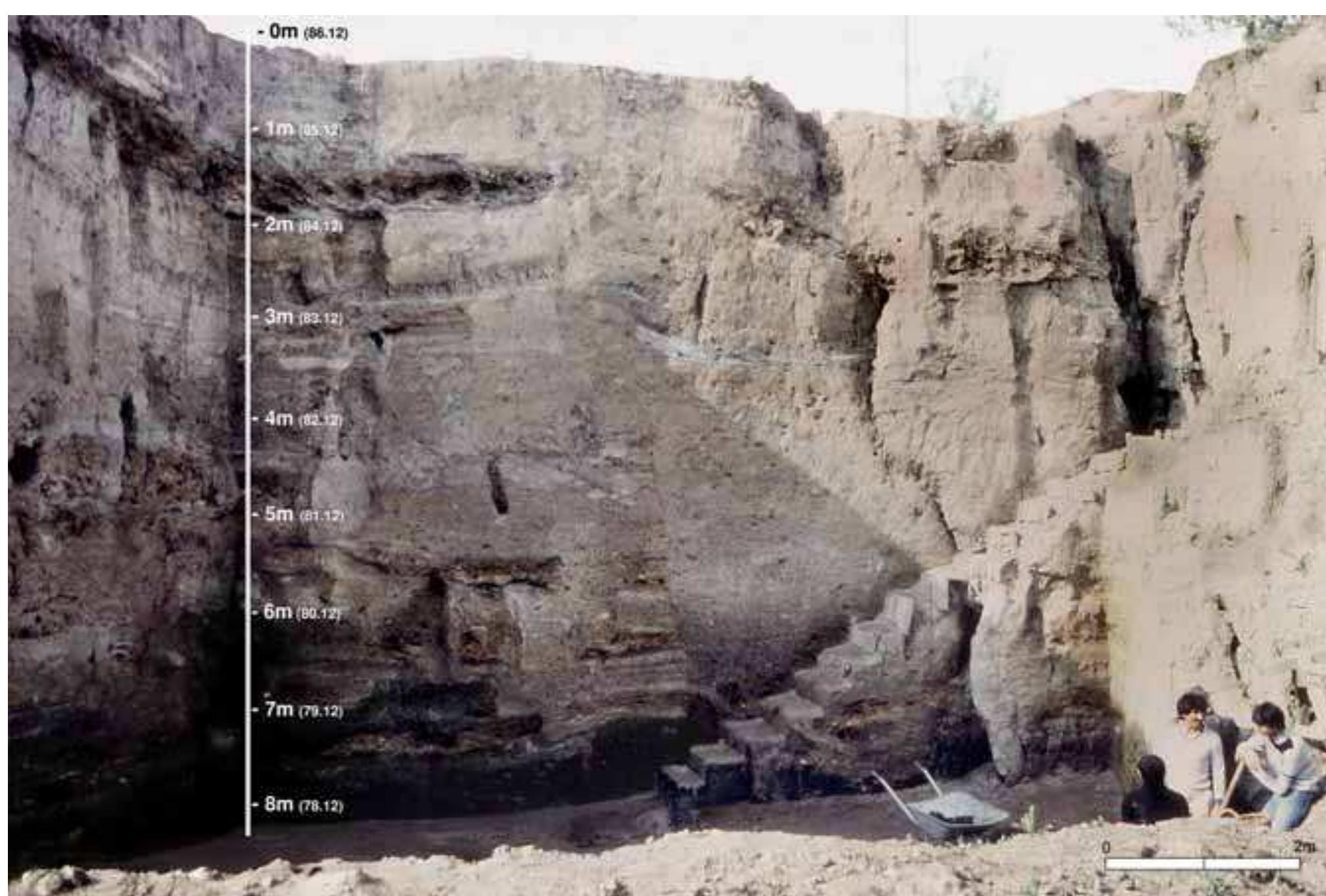 Fic. I-4: VINCA-BELO BRDO; VINCA CULTURE. SOUTHERN AND WESTERN PART OF TRENCH P/1932-34, CLEANED IN 1978 (AFTER BORIC 2009: 230 FIG. 44). 