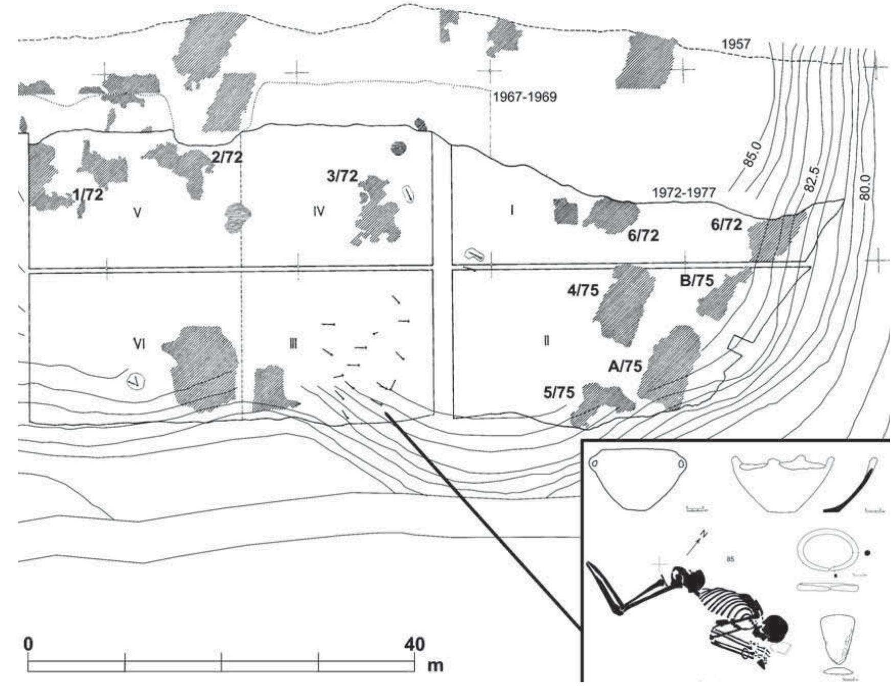 FIG. I-18: GOMOLAVA; VINCA CULTURE. BUILDINGS, INTRAMURAL BURIAL GROUND AND CLOSE-UP OF THE ADULT MALE BURIAL NO. 12 (AFTER Bori¢ 2009: 221 FIG. 34, 223 FIG. 36). 
