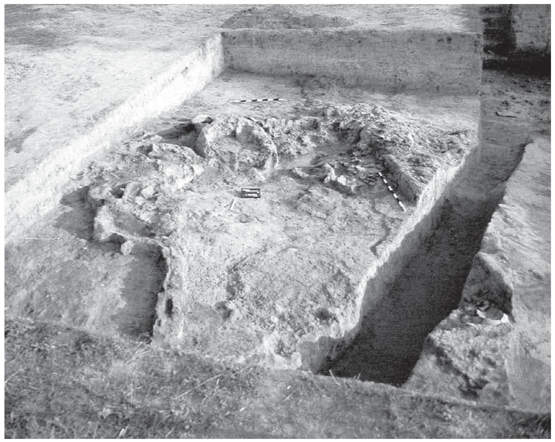 FIG. I-35: TISZAUG-KEMENYTETO; NAGYREV CULTURE. SPATIALLY SEPARATED GROUP OF HOUSES (AFTER CSANYI/STANCZIK 1992: 115 FIG. 75) 