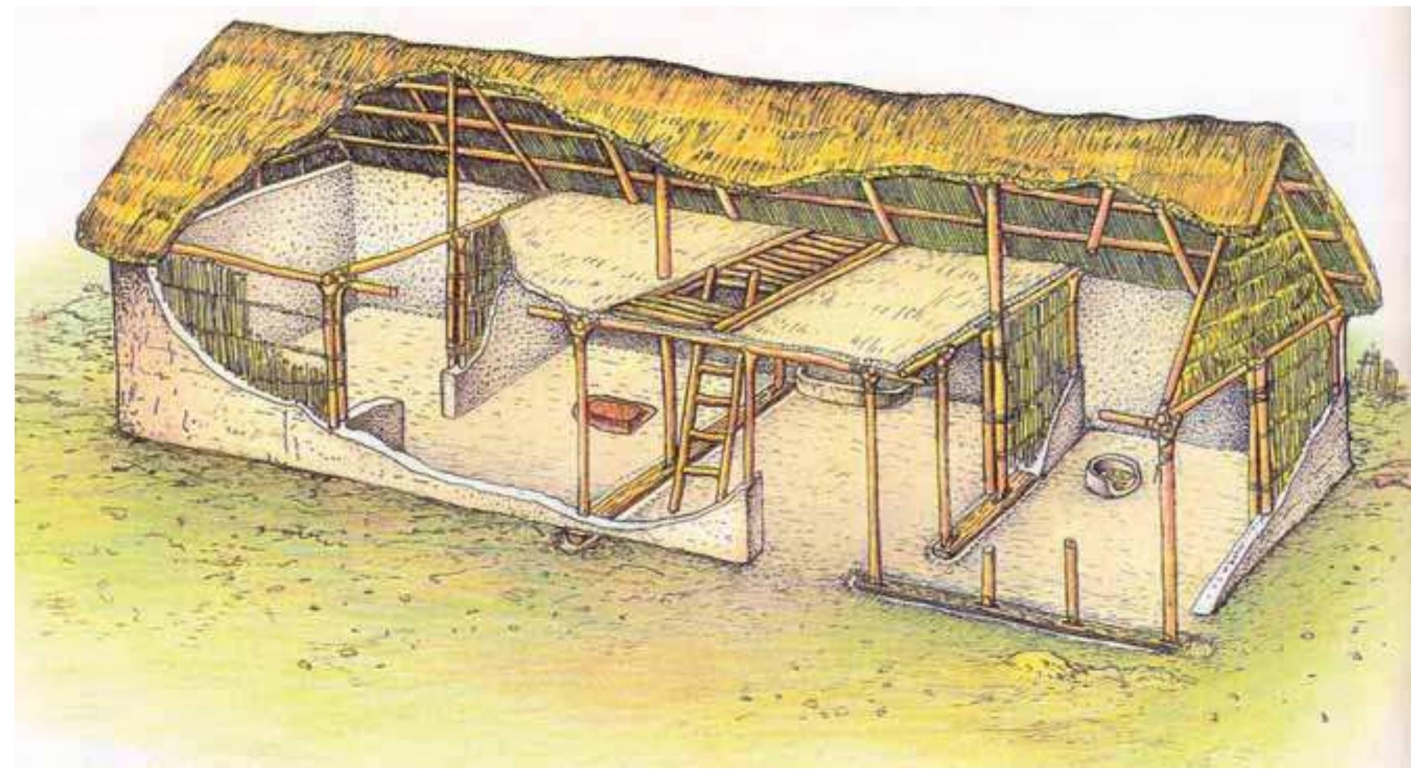 Fic. I-36: TURKEVE-TEREHALOM; OTOMANI-FUZESABONY CULTURE. RECONSTRUCTION OF AN ELONGATED MULTI-ROOM HOUSE (CSANYI/TARNOKI 1992: 160 FIG. 114). 
