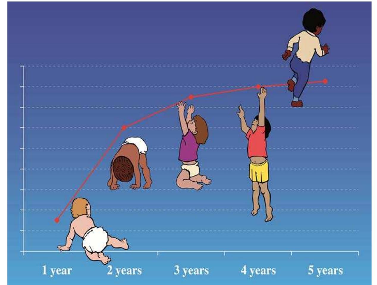 Figure 2: Cover image representing motor developmental progress from the WHO Child Growth Standards (World Health Organisation 2007)  which unfolds in time, rather than space—with an identifiable point of origin (birth, or in some cases conception) and a predefined final destination (adulthood). This developmental Grand Tour follows a more or less set itinerary, in which children take in all the key landmarks along the way as they travel from infancy to adulthood (via variously determined periods of childhood and youth). Children’s progress along their developmental journey is judged according to a sequence of ‘milestone’ skills—sitting, standing, cruising, walking— which enable development to be assessed according to their timekeeping within the universal developmental plan. Figure | is an example of a milestones chart, which visualizes the windows for achieving key motor milestones along this developmental journey. 