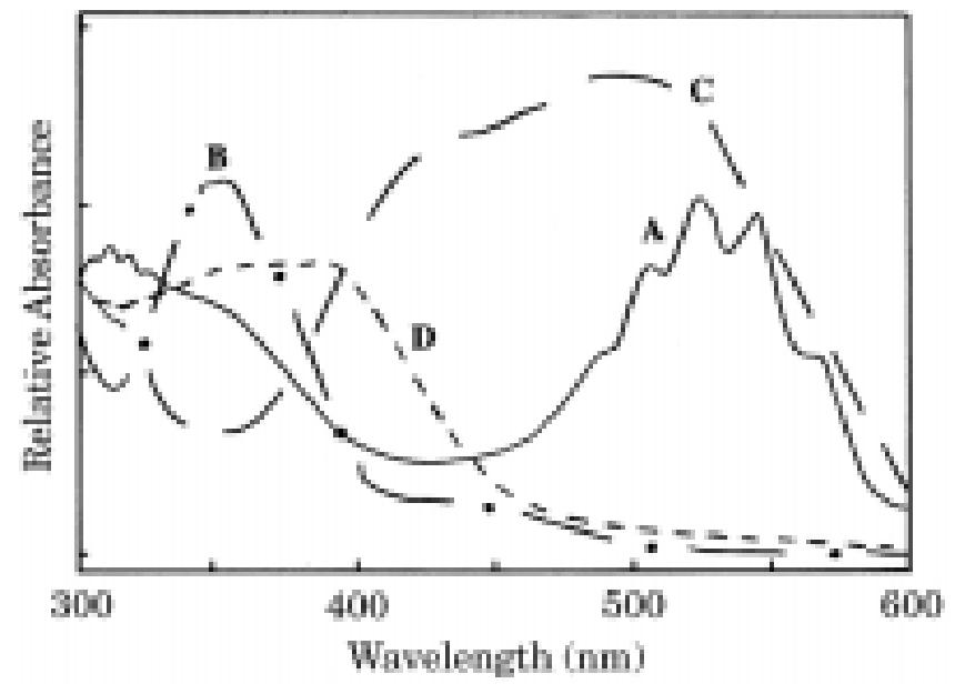 Figure 1. Absorbance spectra of (A) MnO, ; (B) Cr,0,” ; (C) PGR and (D) its oxidized form. 