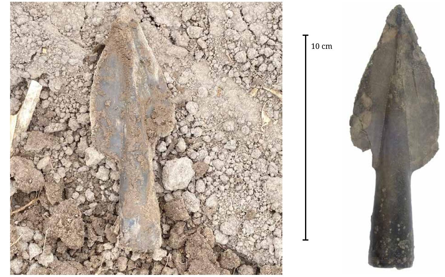 Figure 1. Left: the Twisk spearhead (DB 3065) at the moment of discovery (photo: F. Ruiter). Right: the spearhead cleaned prior to conservation (photo: G. van Oortmerssen). 